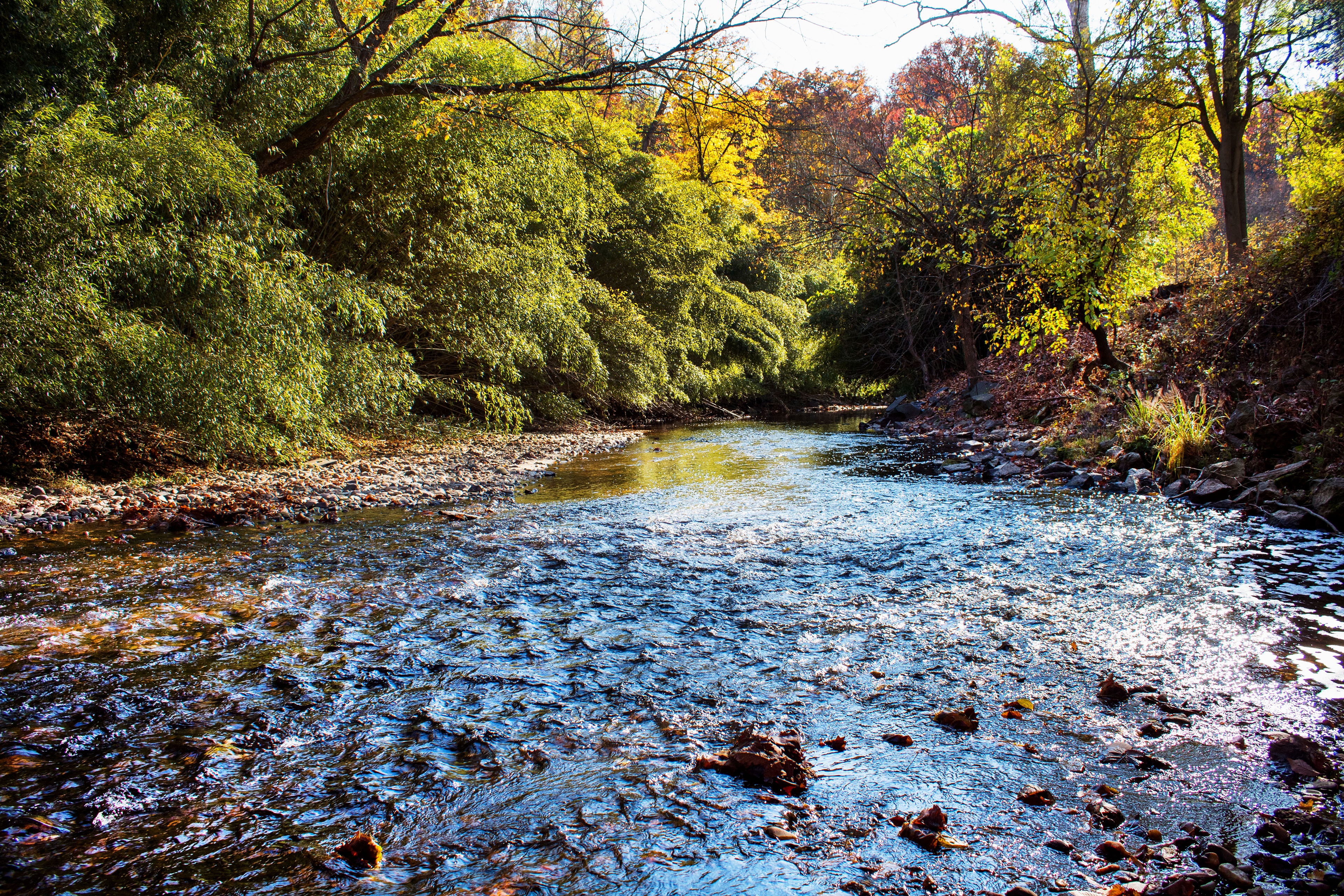 A Glimmer of Fall - Washington D.C.