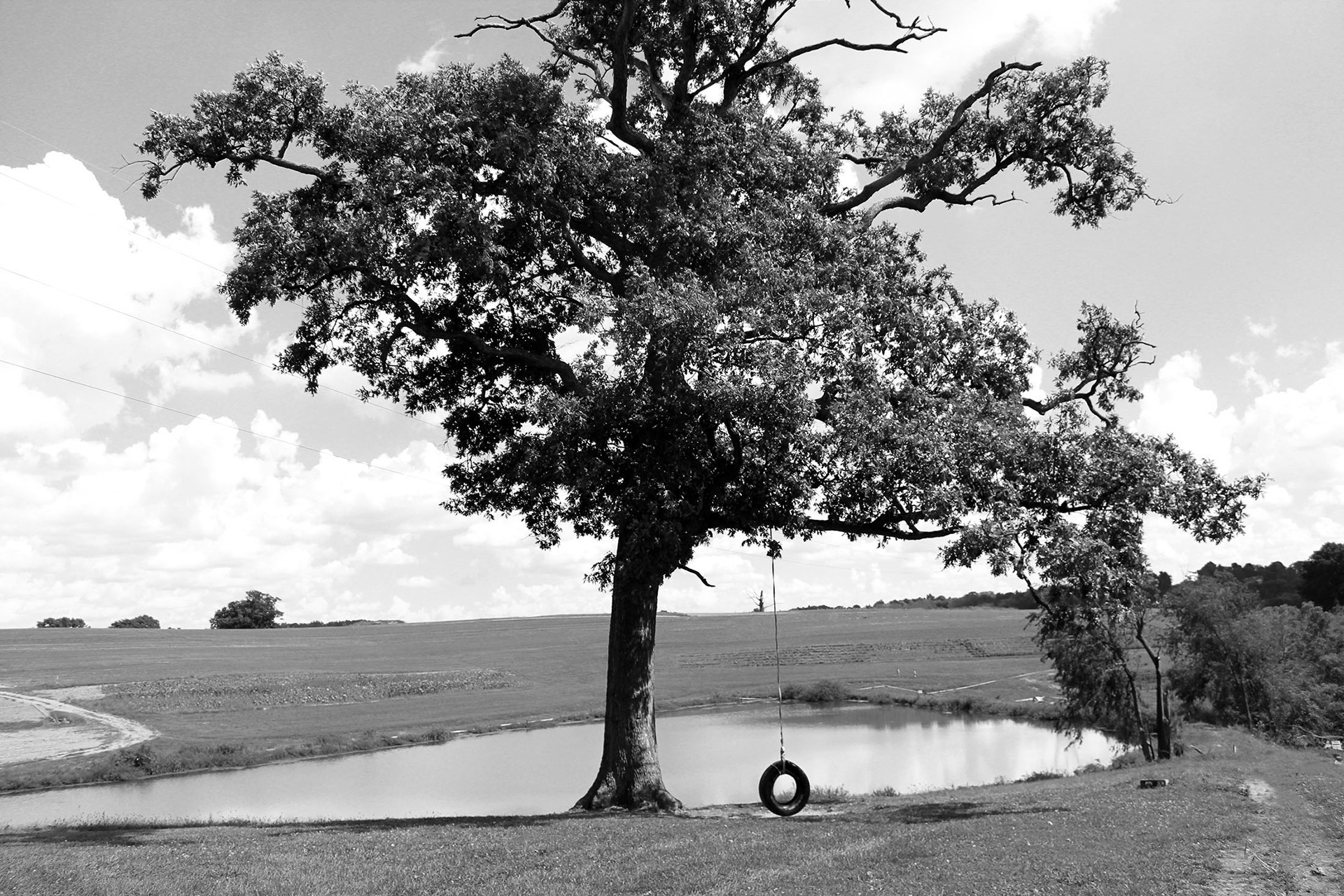 Old Friend - Simmon's Farm (McMurray, PA)