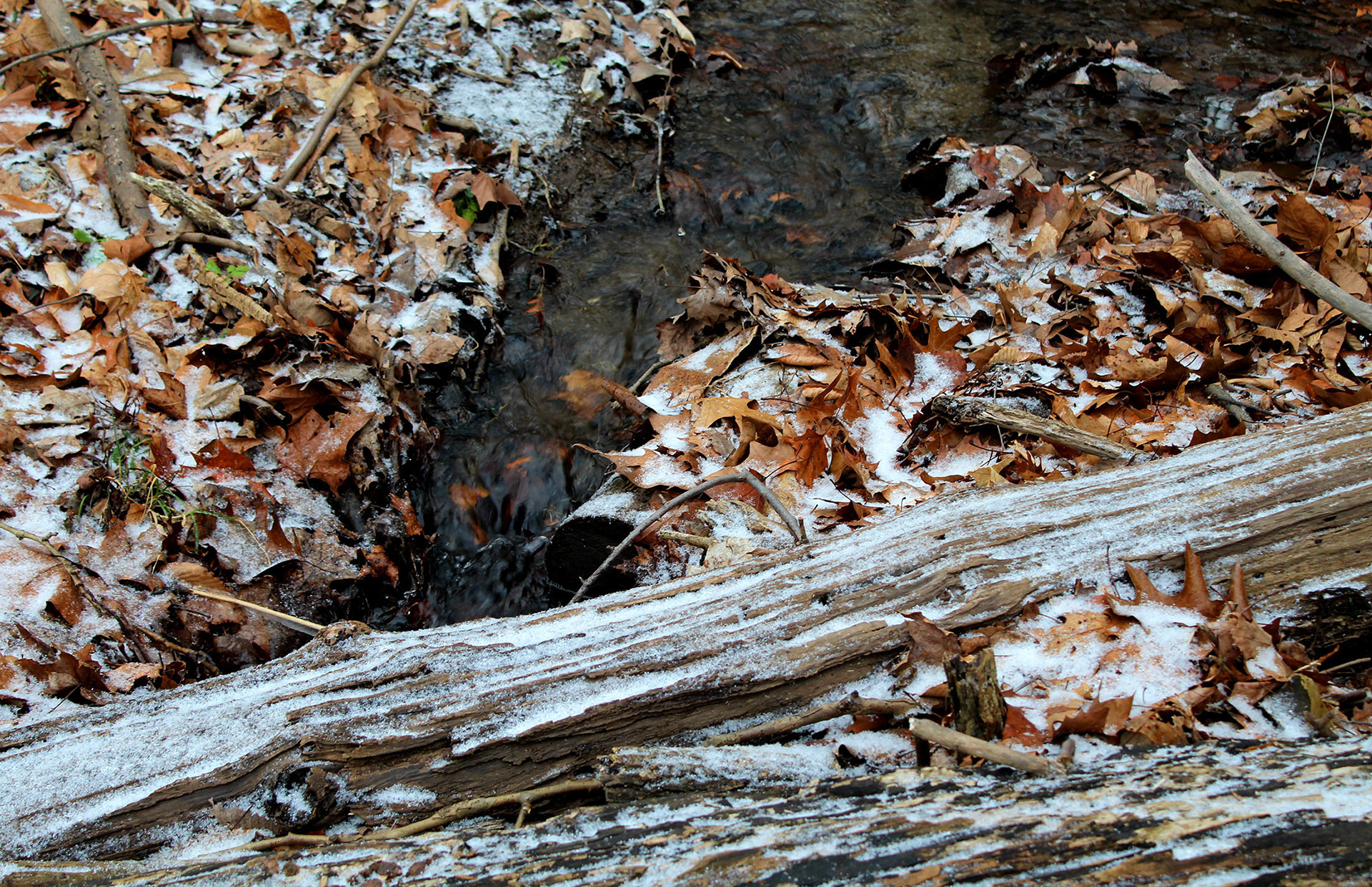 Autumn Meets Winter - Pittsburgh, PA