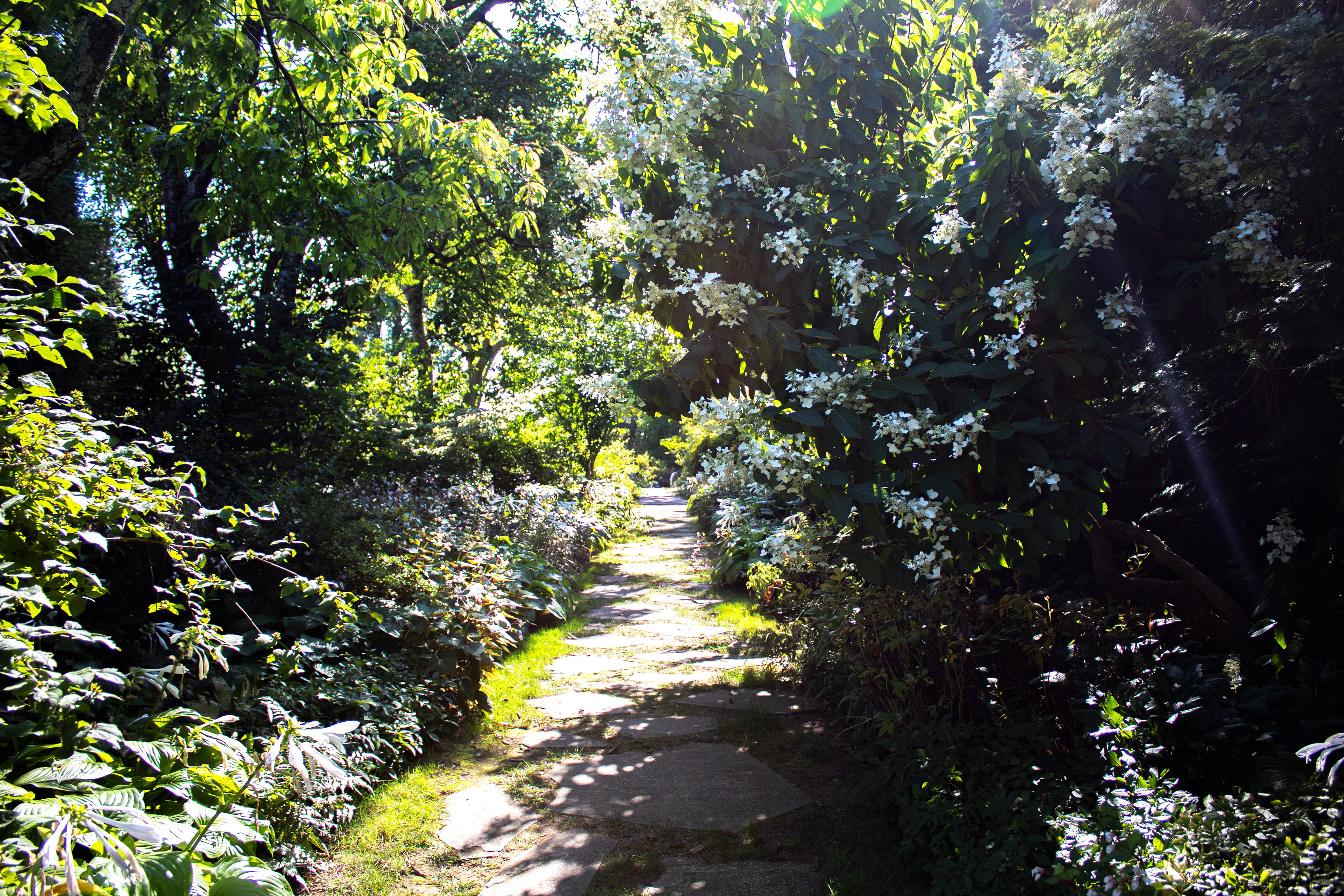 White Garden - Ladew Topiary Gardens (Monkton, MD)