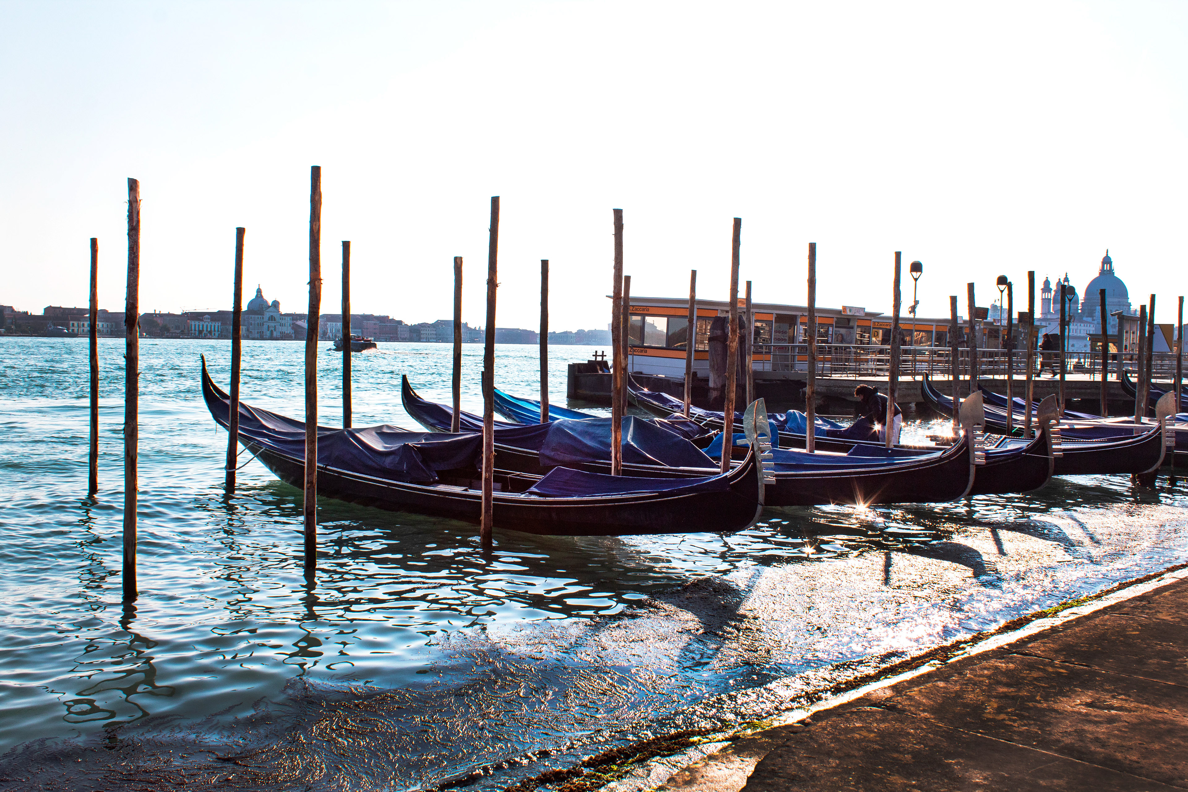 Gondolas at Rest - Venice, Italy