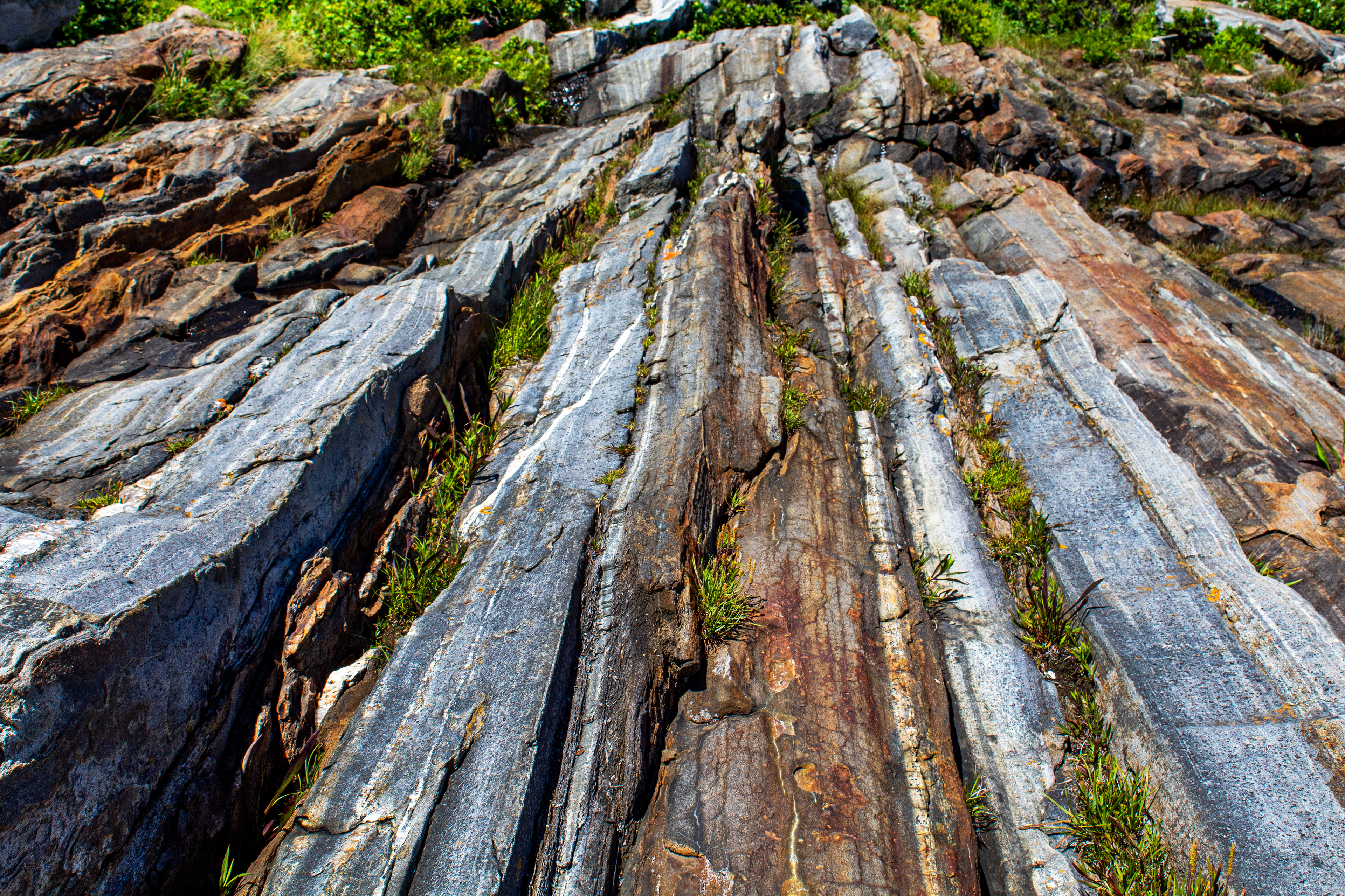 Earth in Vertical - Bristol, ME