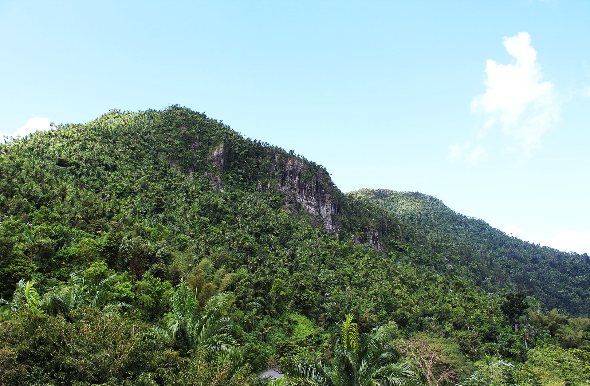 Crown of Puerto Rico - El Yunque, Puerto Rico