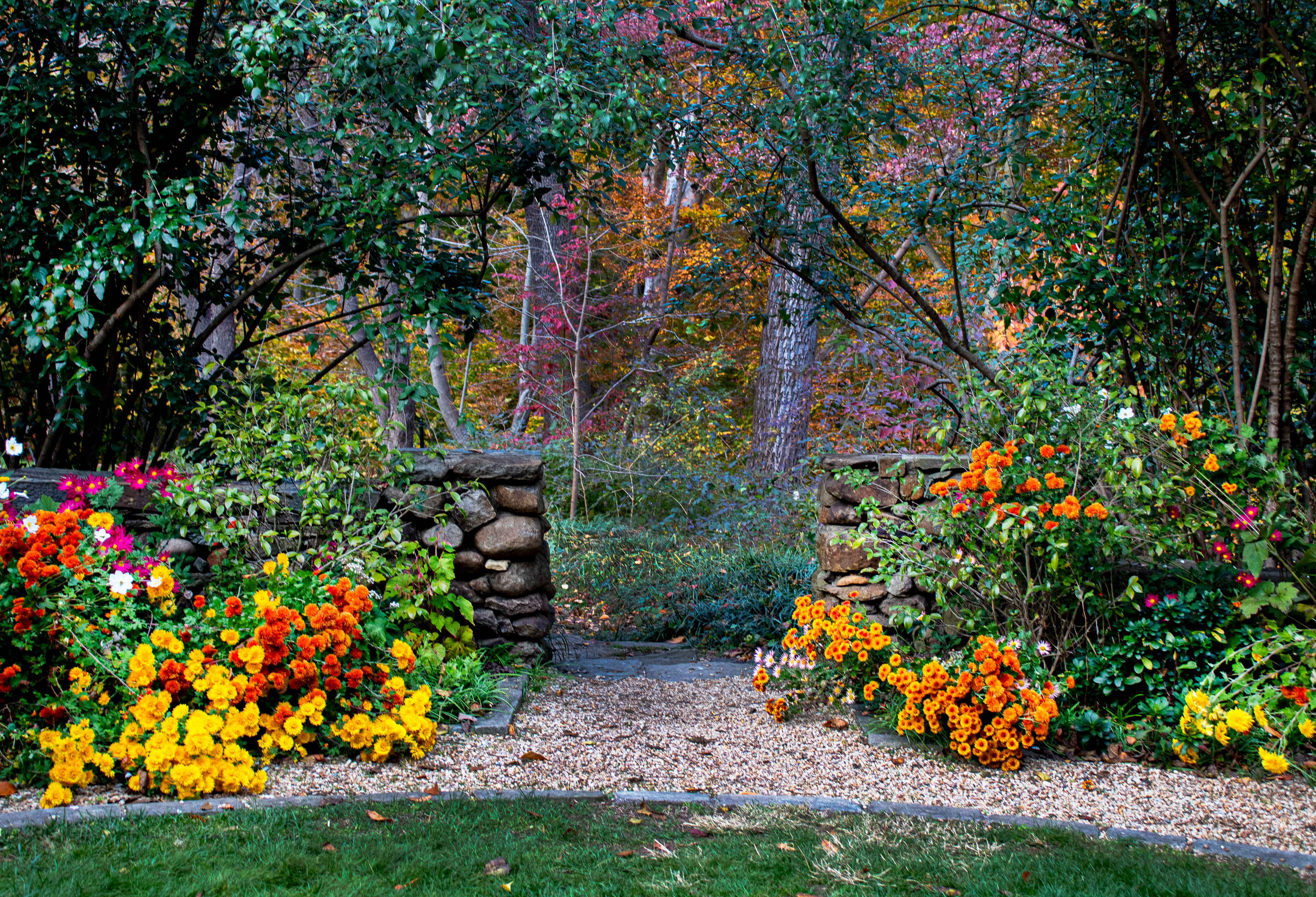 A Colorful Entrance - Dumbarton Oaks (Washington D.C.)