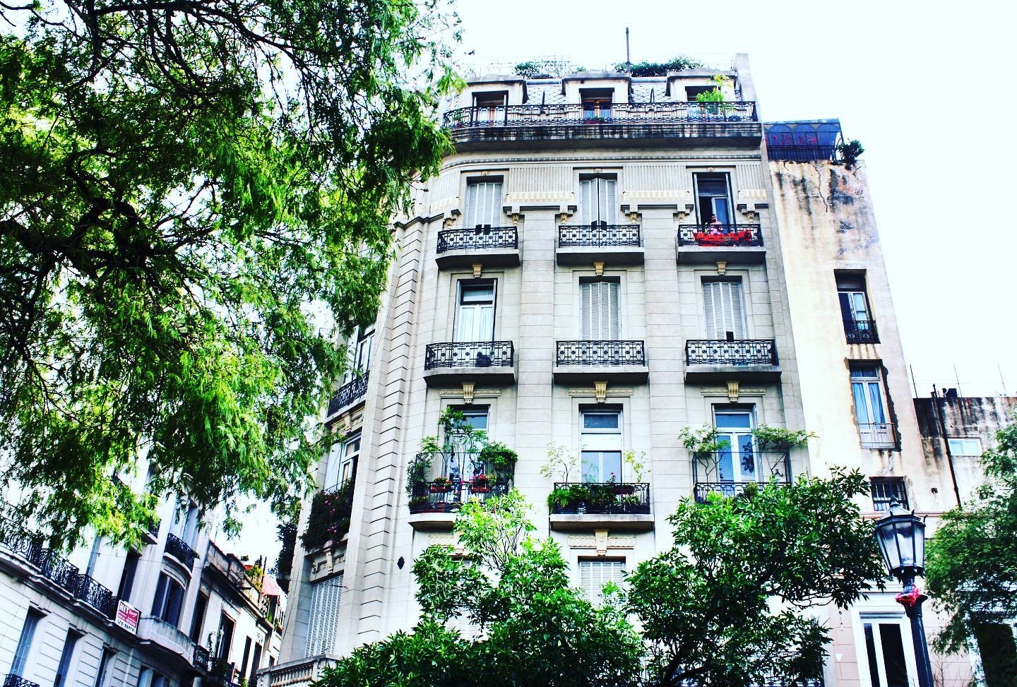 Argentine Antiquity - Buenos Aires, Argentina