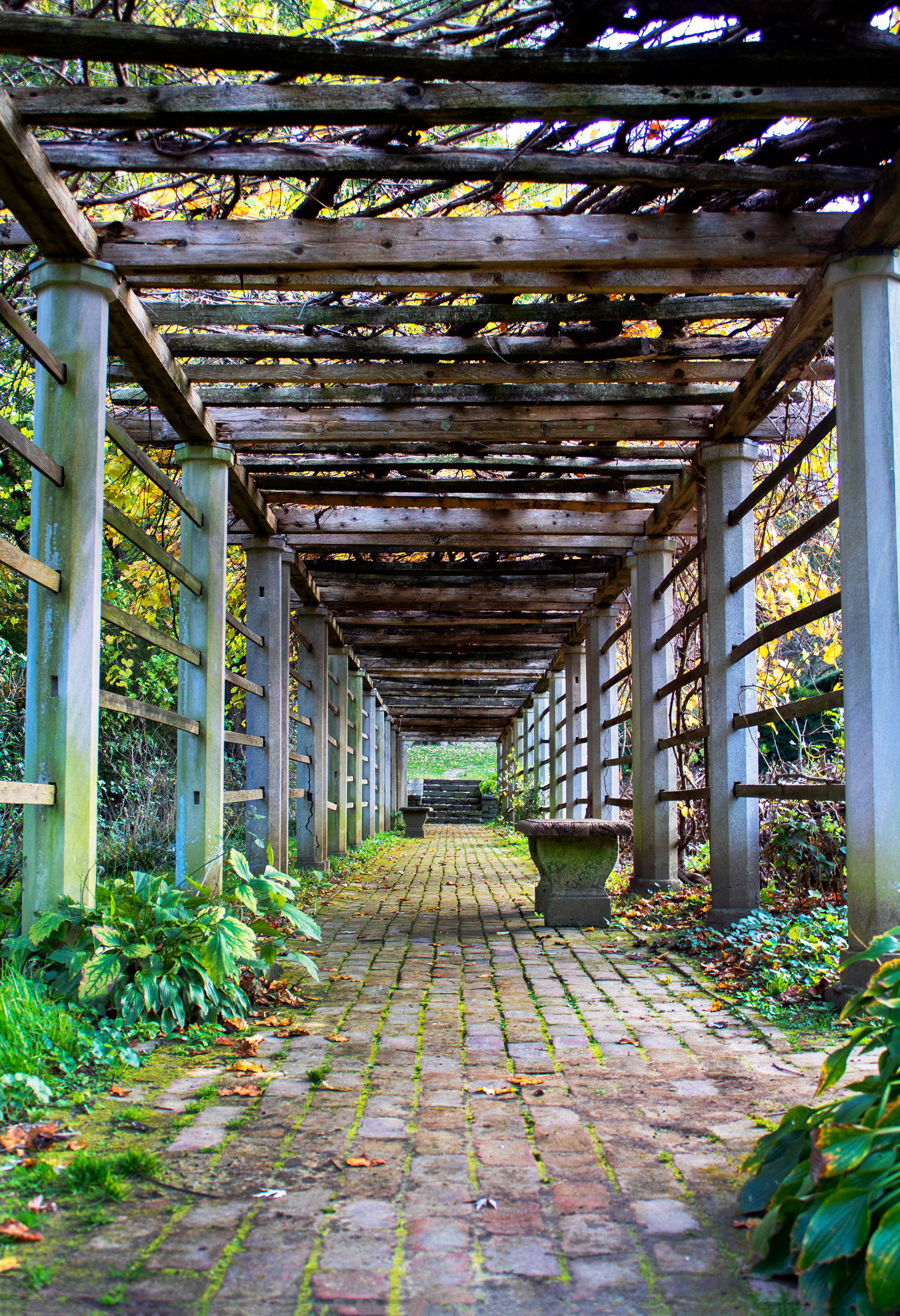 Path to Nature - Dumbarton Oaks (Washington D.C.)