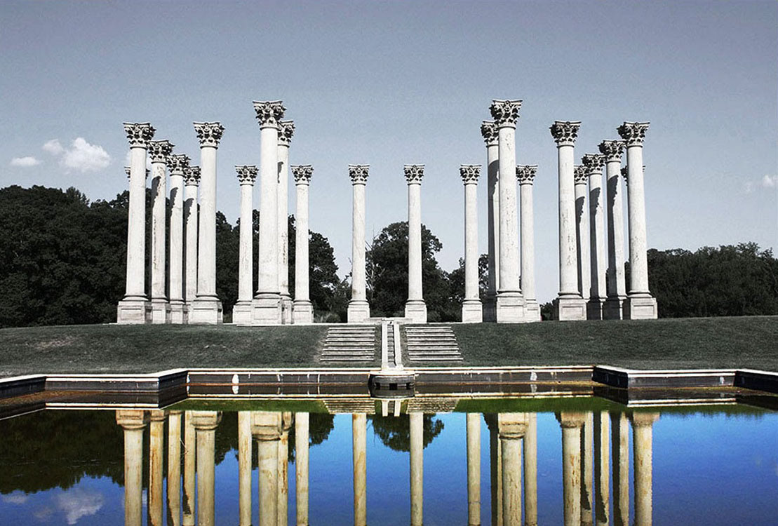 Arborcoolness - Washington D.C.