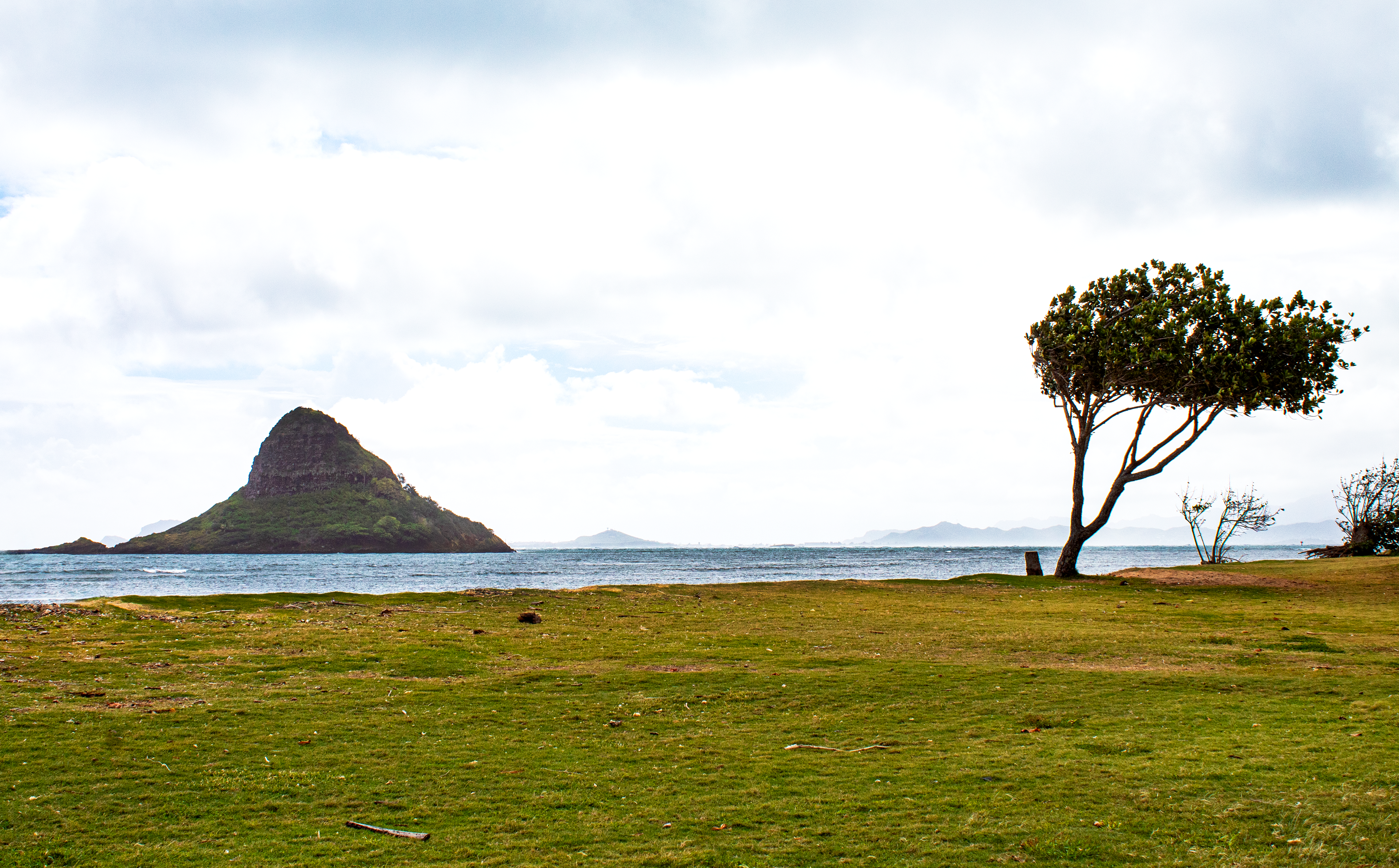 Hat on the Horizon - Honolulu, HI