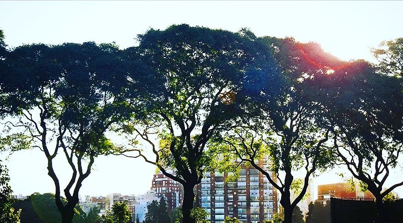 Buenos Aires in the Sunlight - Buenos Aires, Argentina