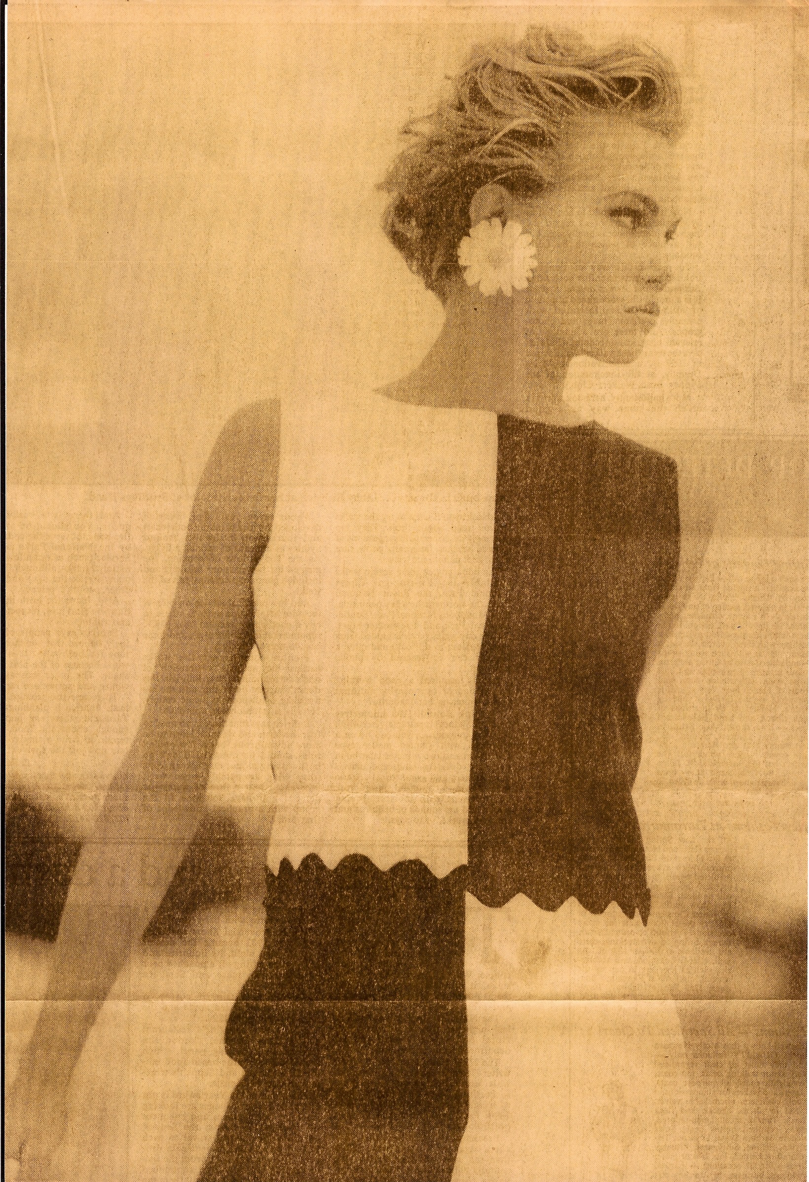 David Jone Austrailia