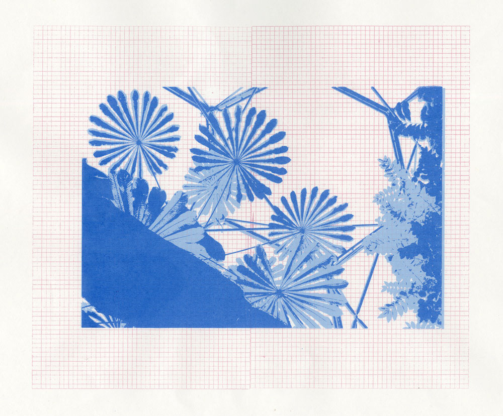 3 colour silk screen print on paper