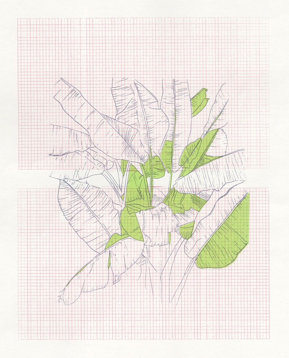 3 colour silk screen print on paper