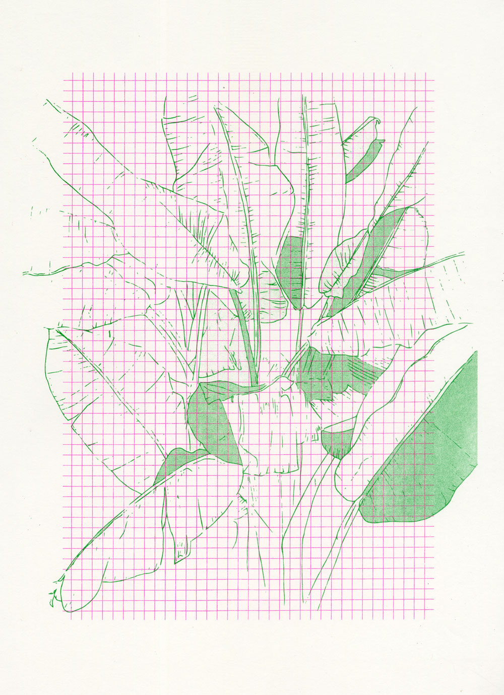2 colour Risograph Print