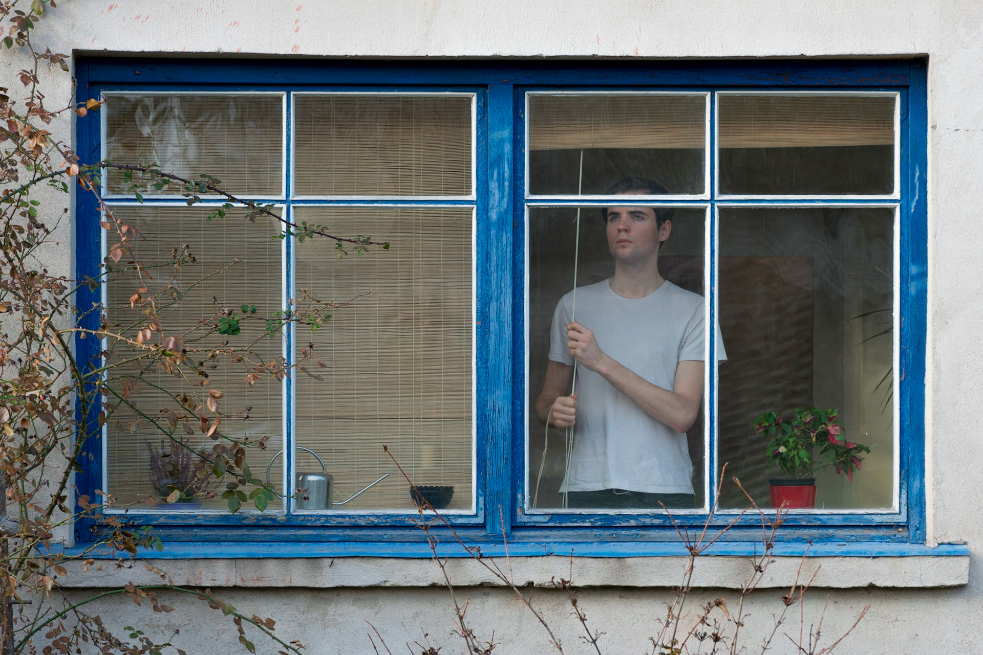 Wittgenstein 2015
