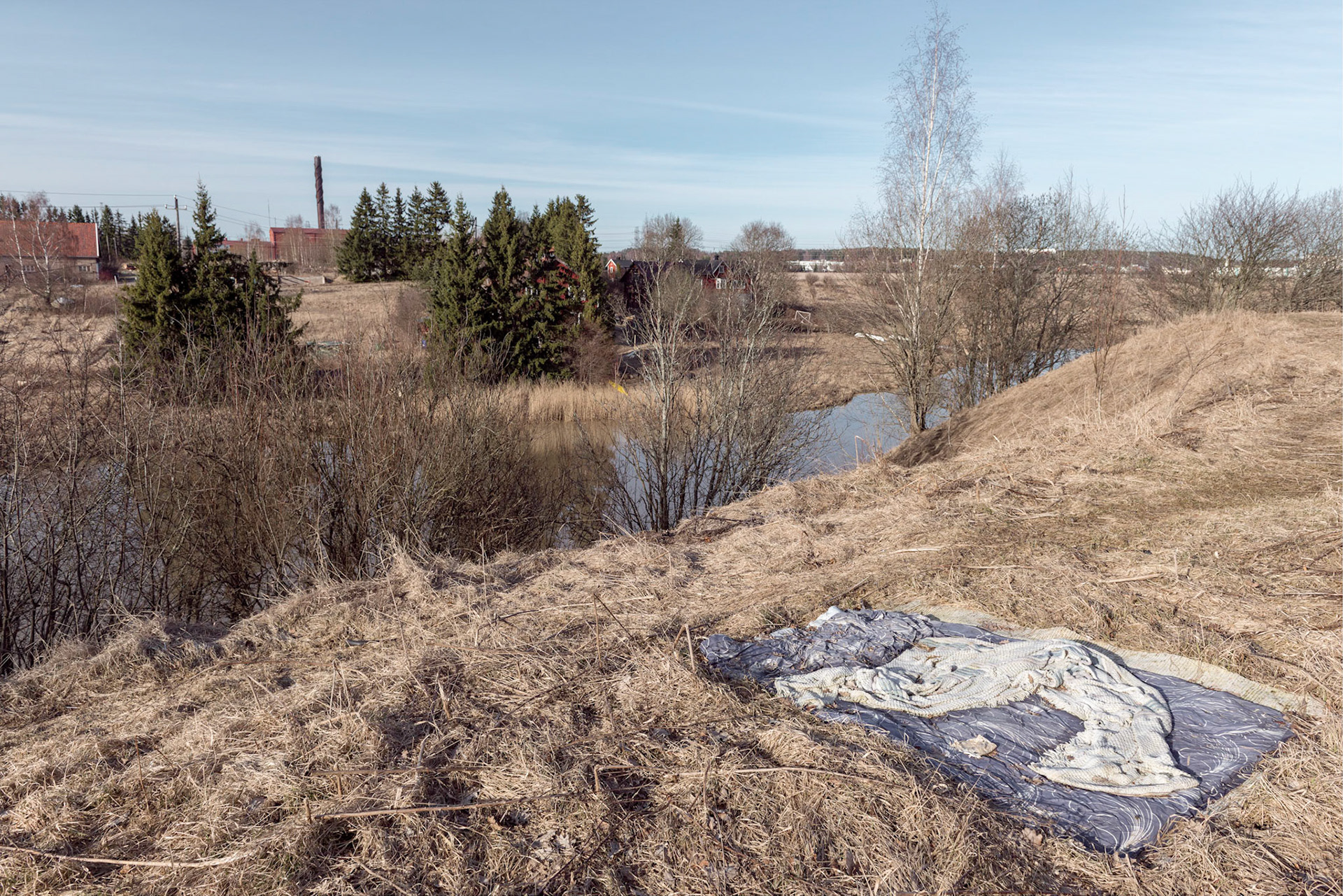 picnic, 2014