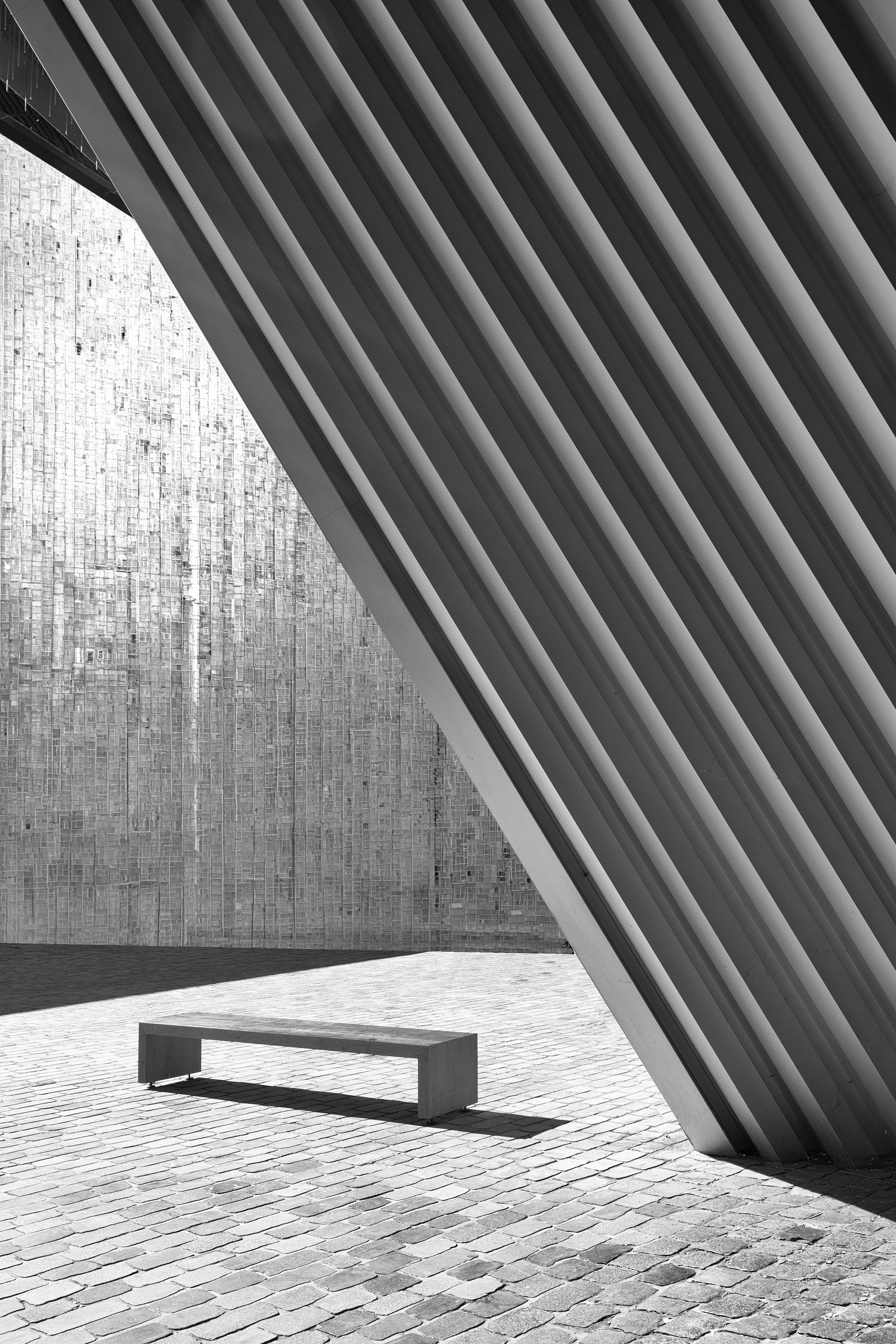 Dialogue between light and stillness