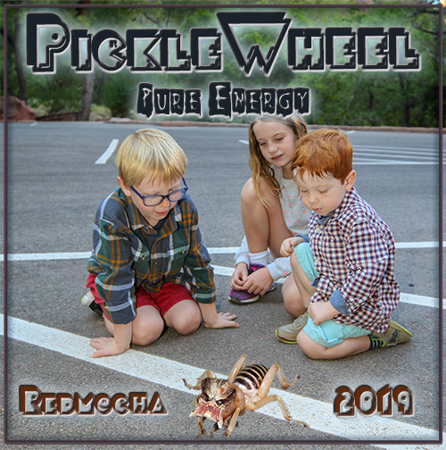 PickleWheel: Pure Energy 2019