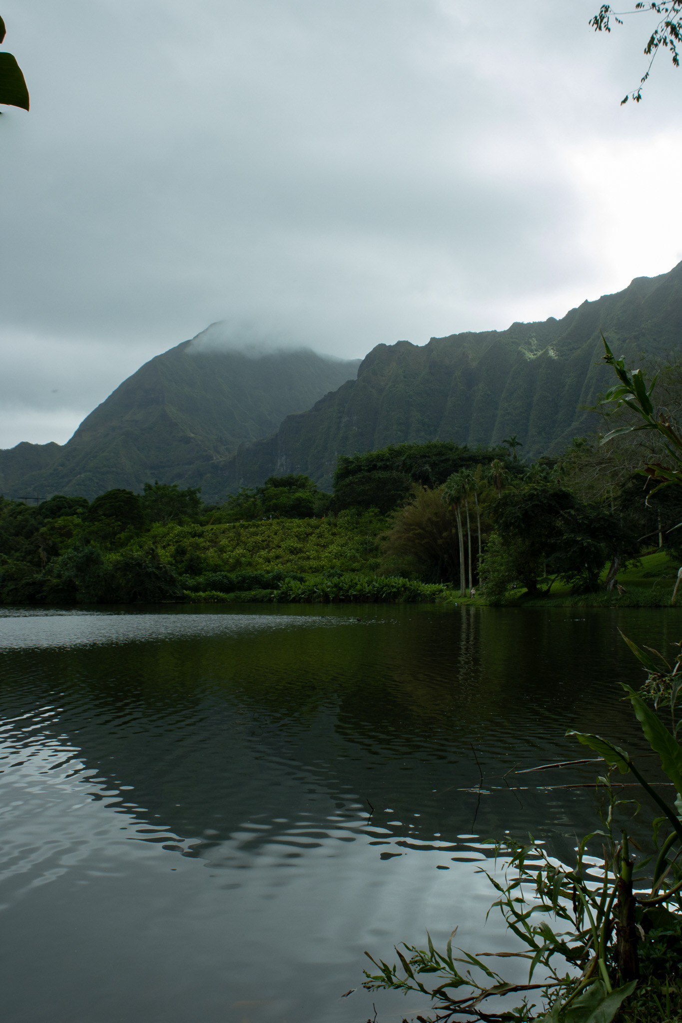 Ko'olau Mountains 2024