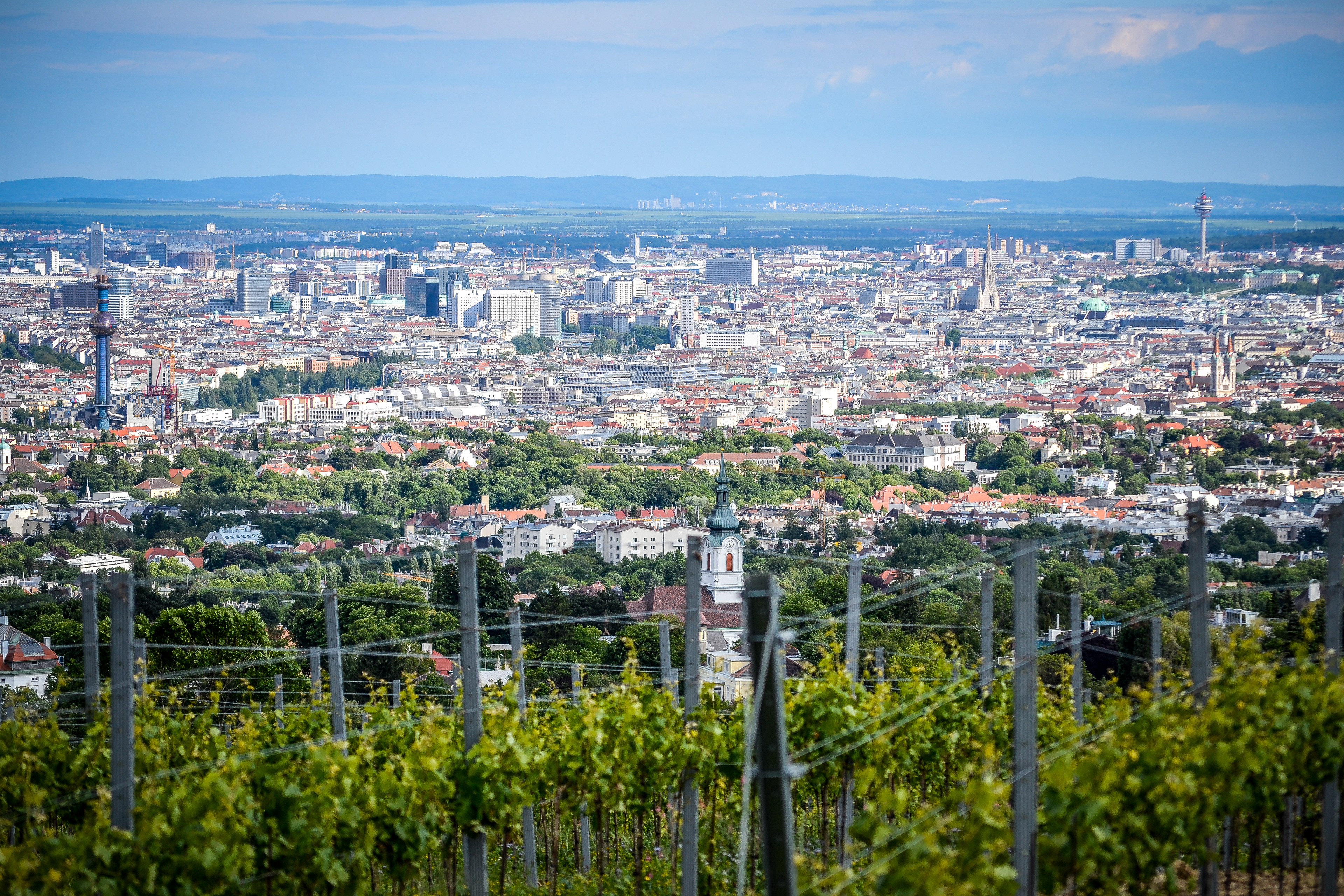 Vienna, Austra