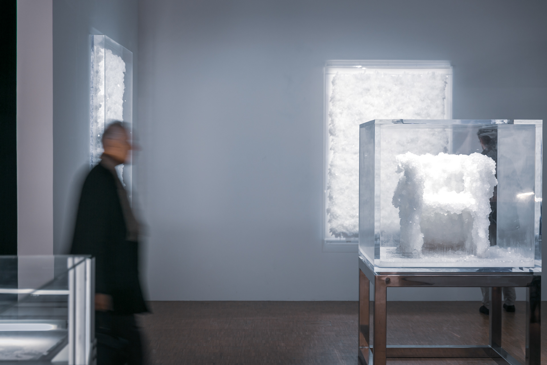 Mouvements dans le Musée