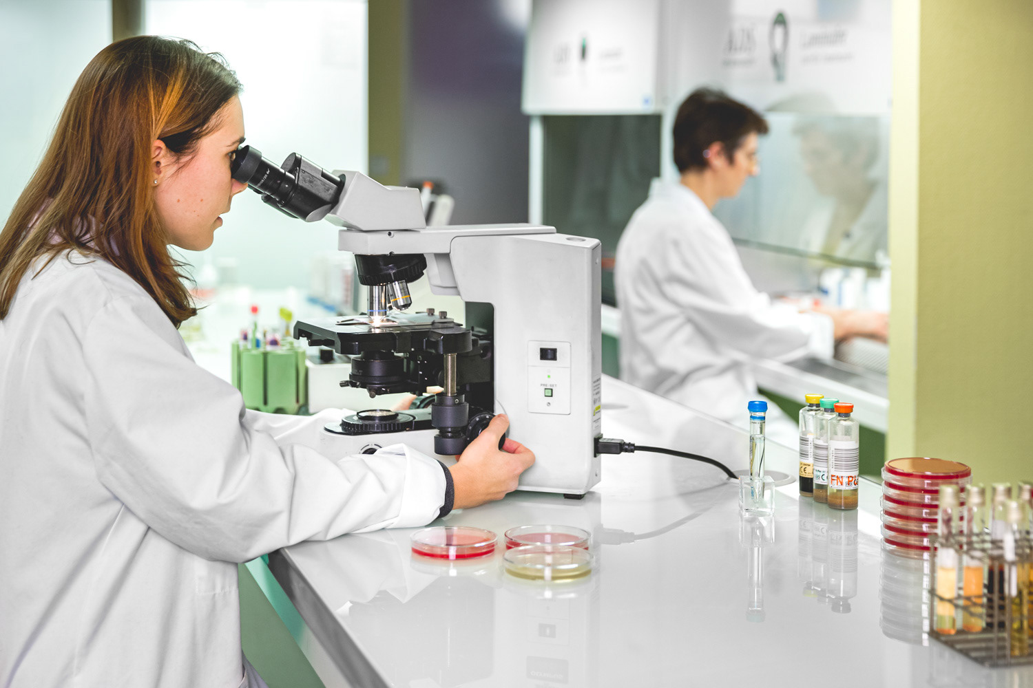 Recherche biologie analyse au microscope