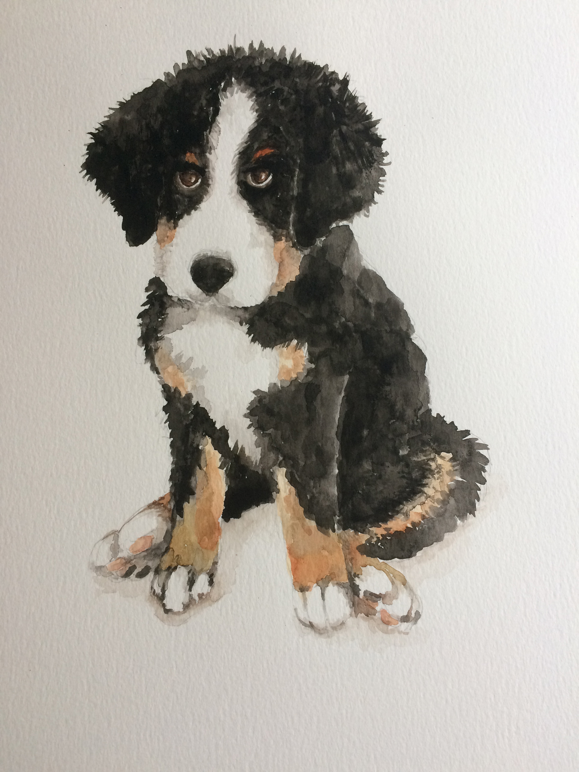 Hettie