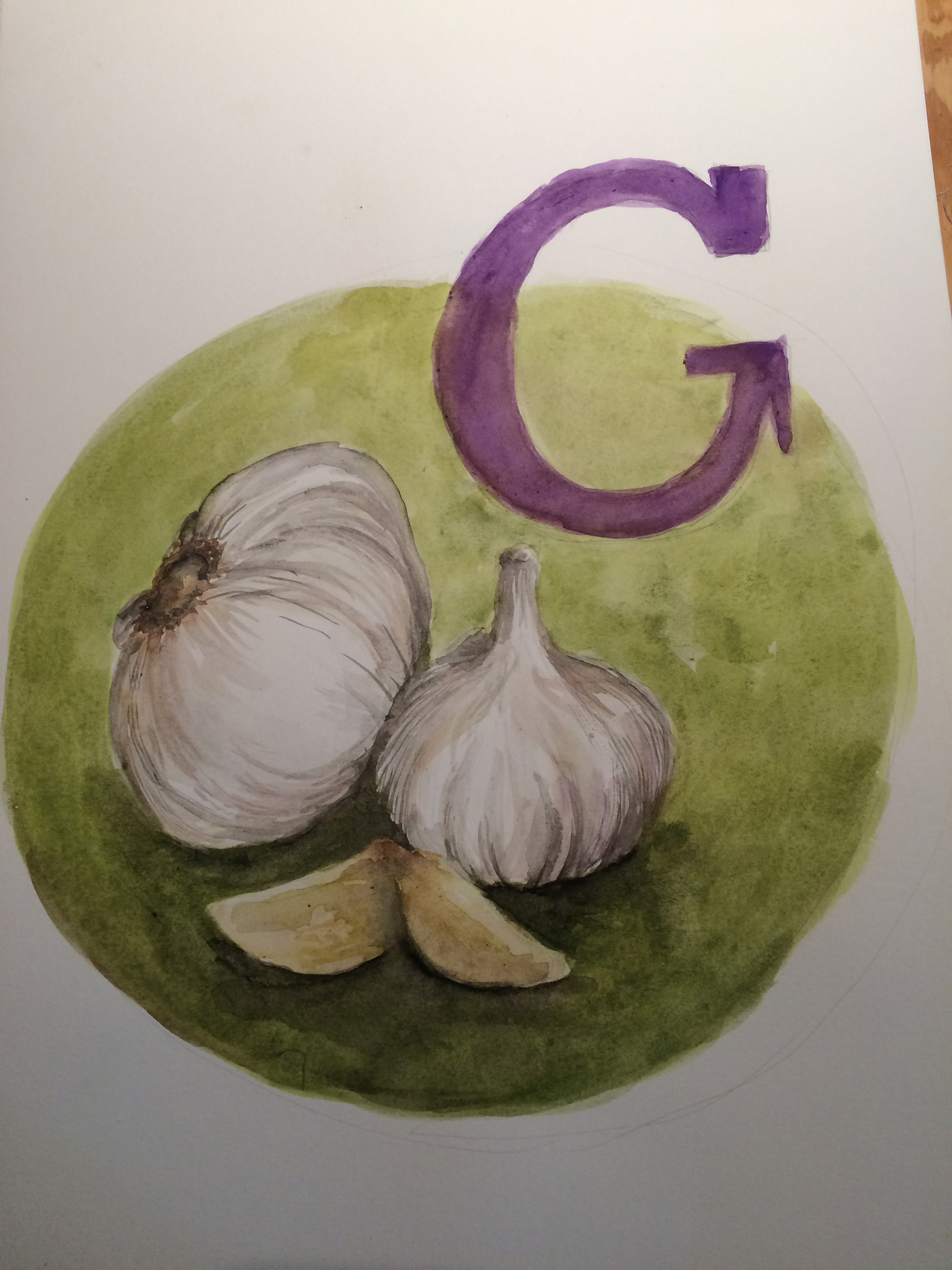 Garlic