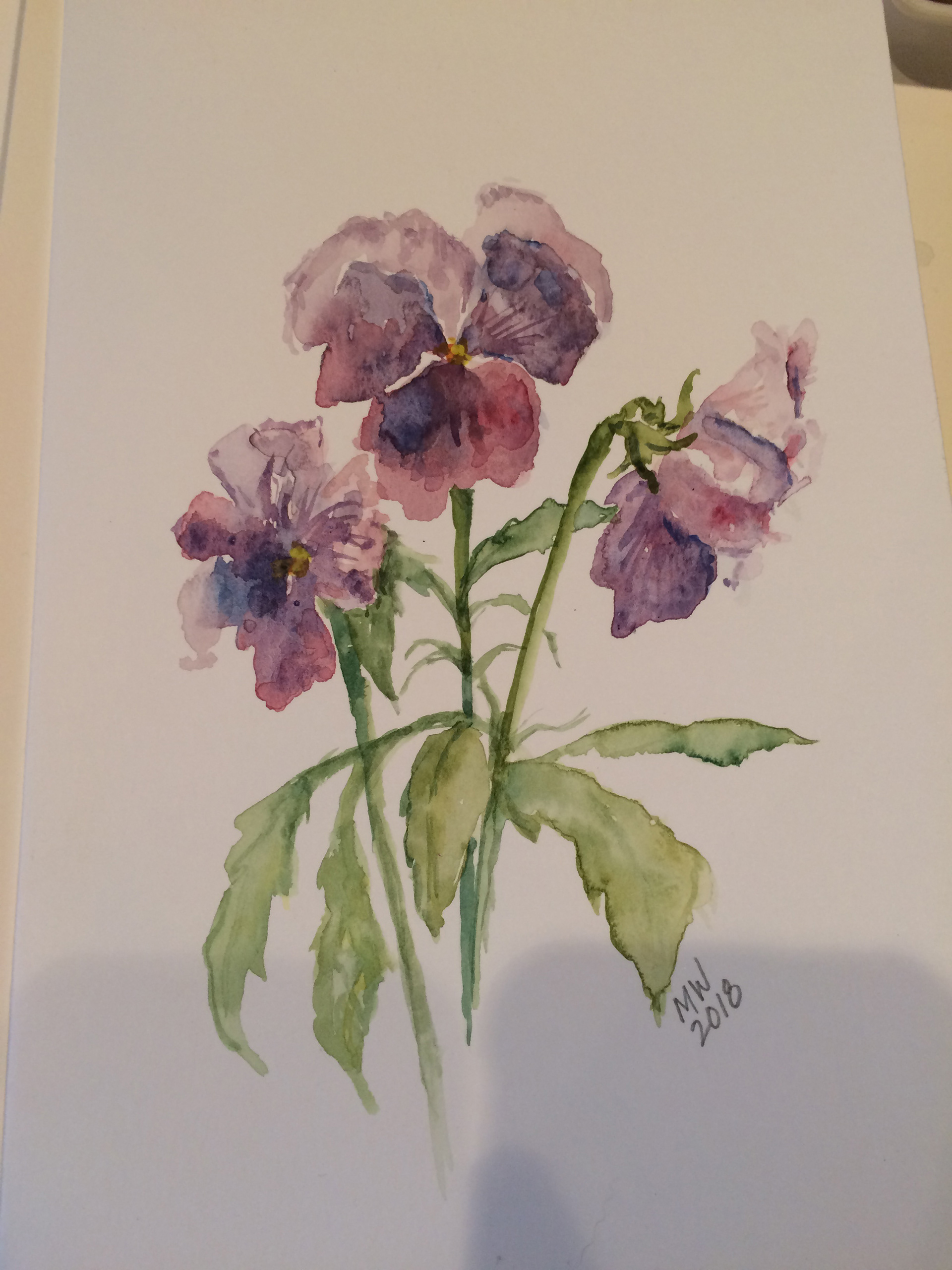 Pansies