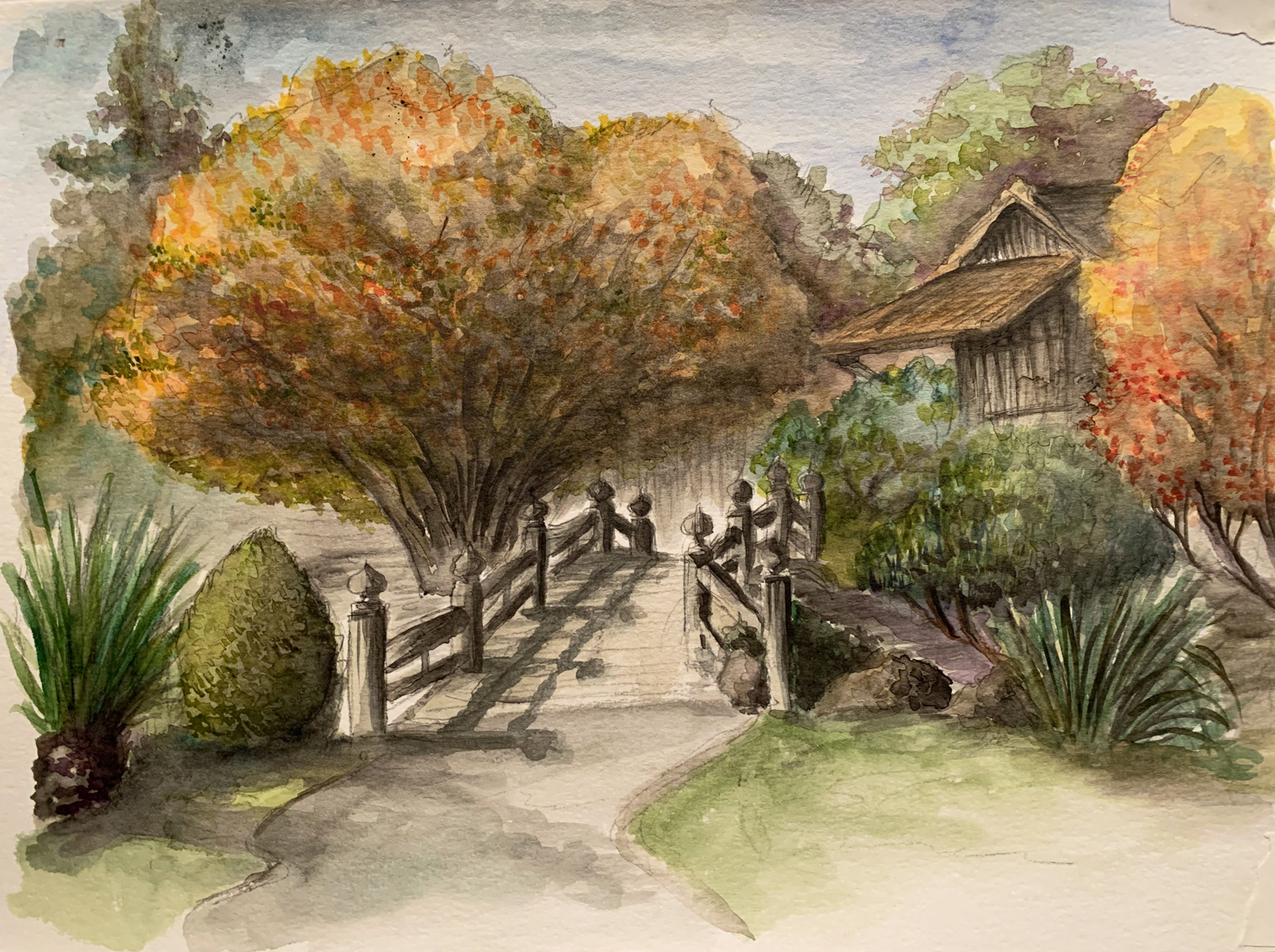 Japanese Tea Garden