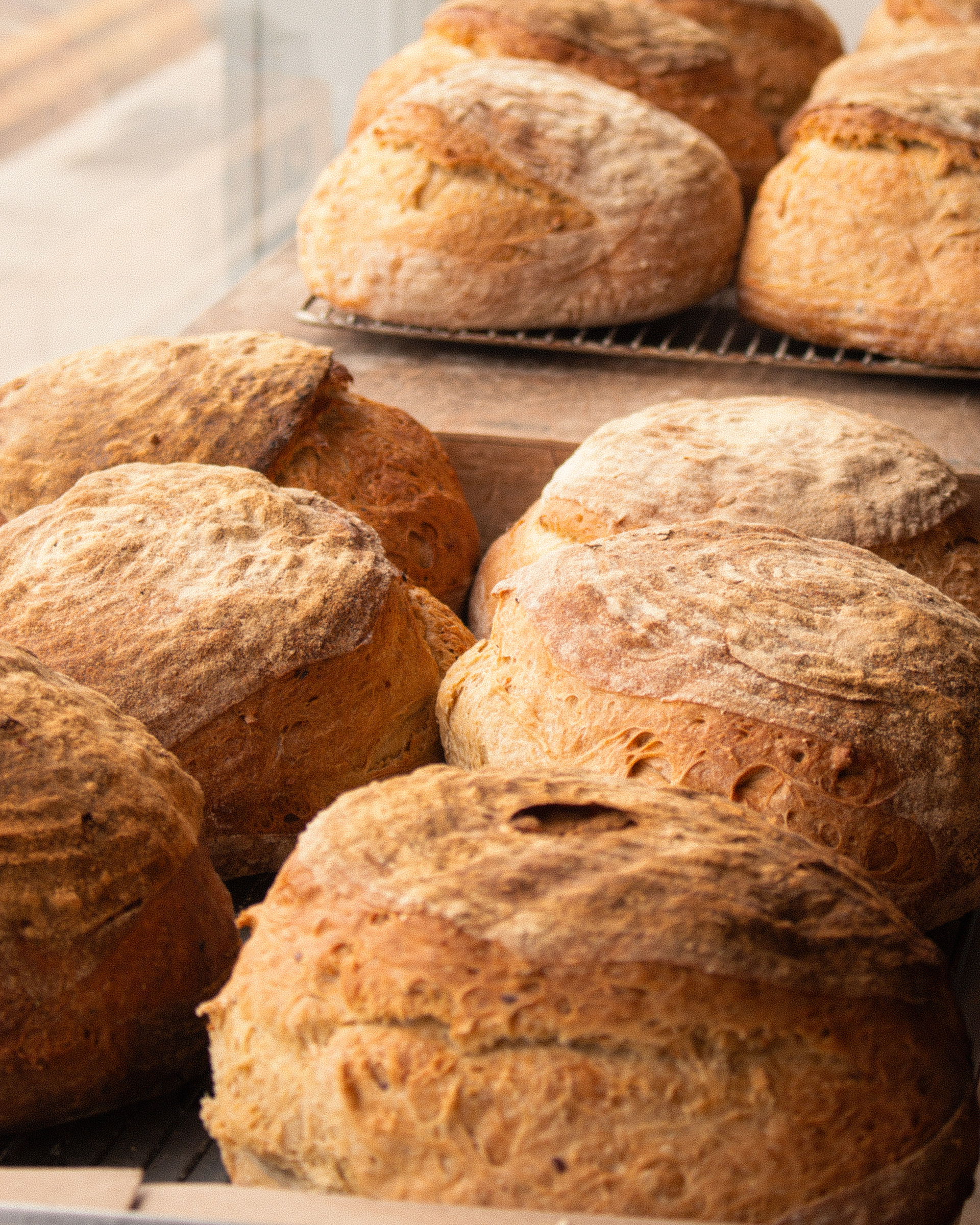 Fresh Bread at Gaillot et Gray Harold's Cross 