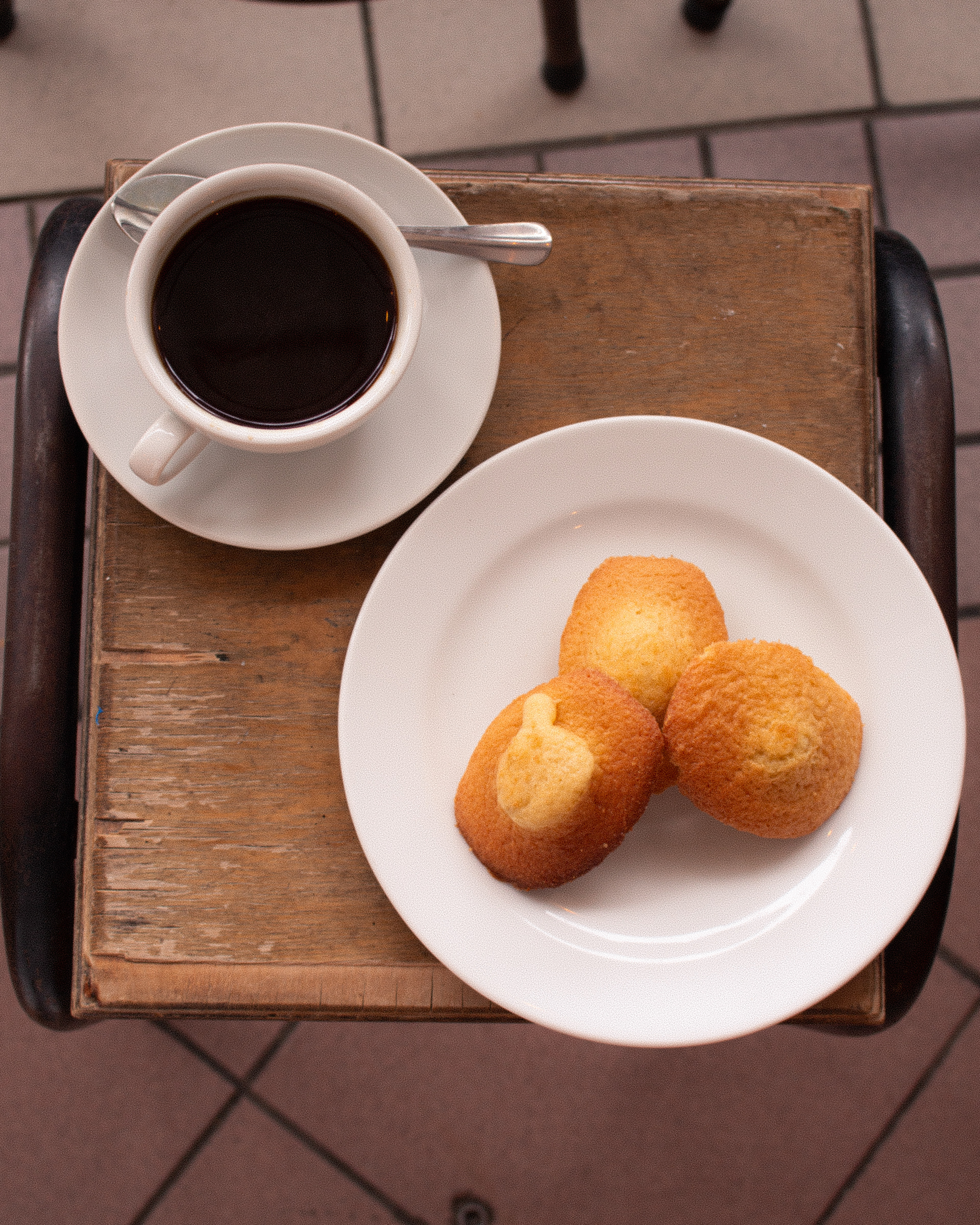 Madeline and Americano at Gaillot et Gray Harold's Cross 