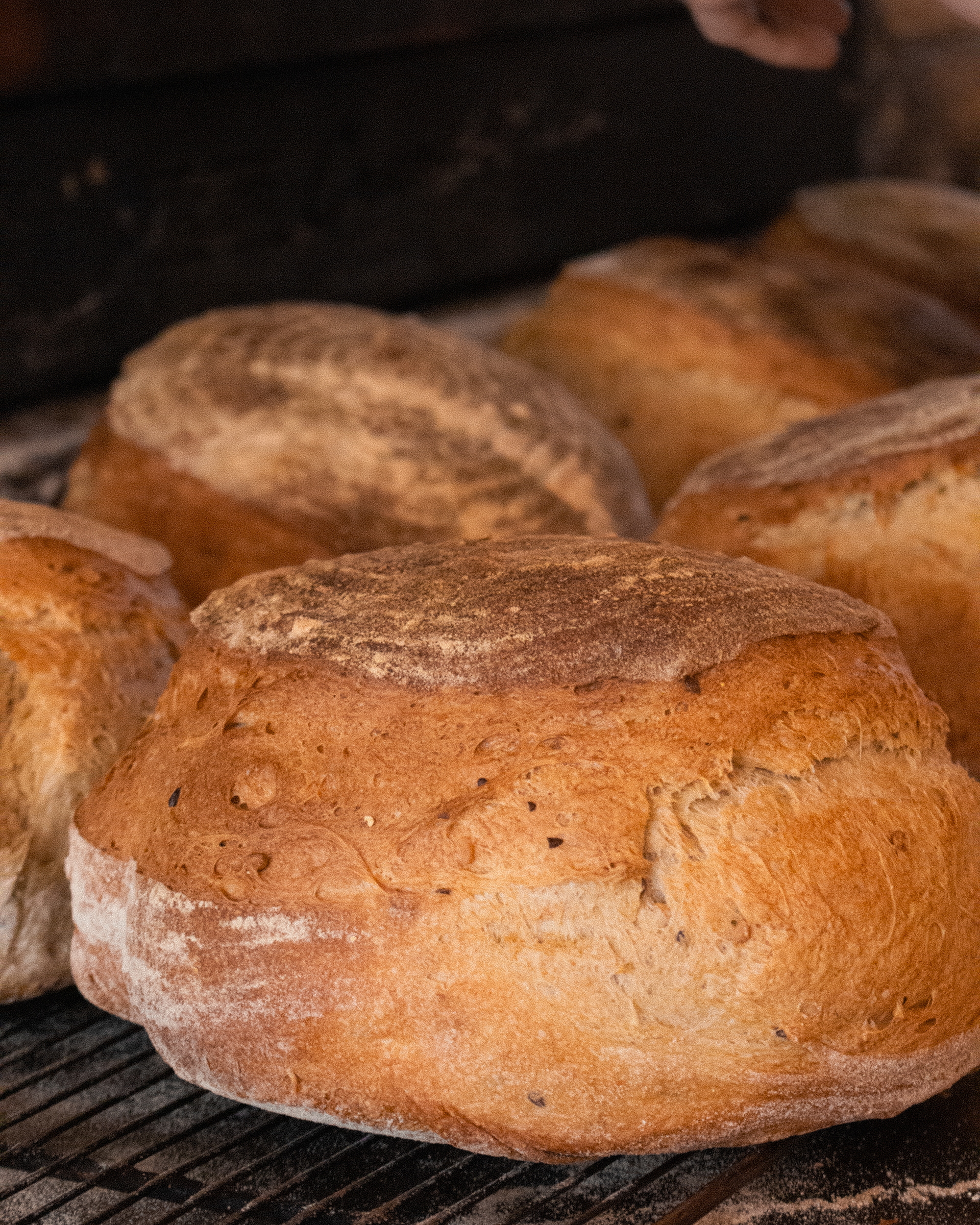 Sourdough straight out the oven at Gaillot et Gray Harold's Cross 