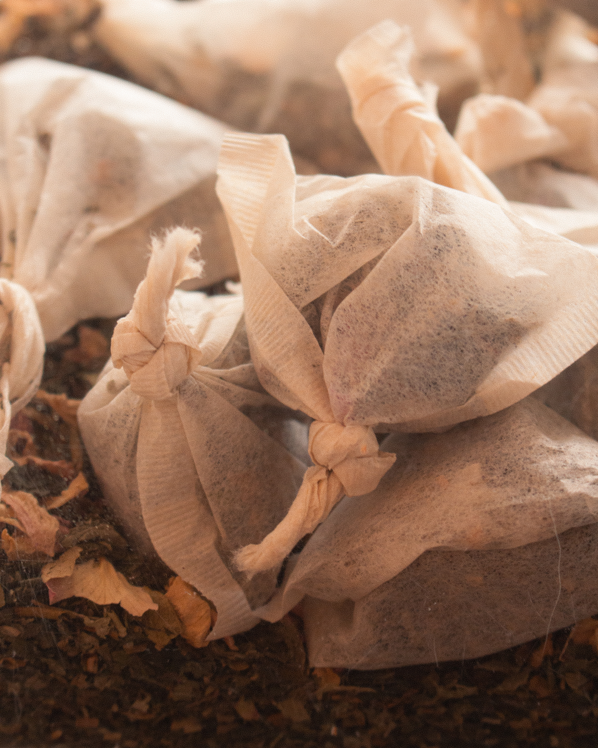 Teabags Gaillot et Gray Harold's Cross 