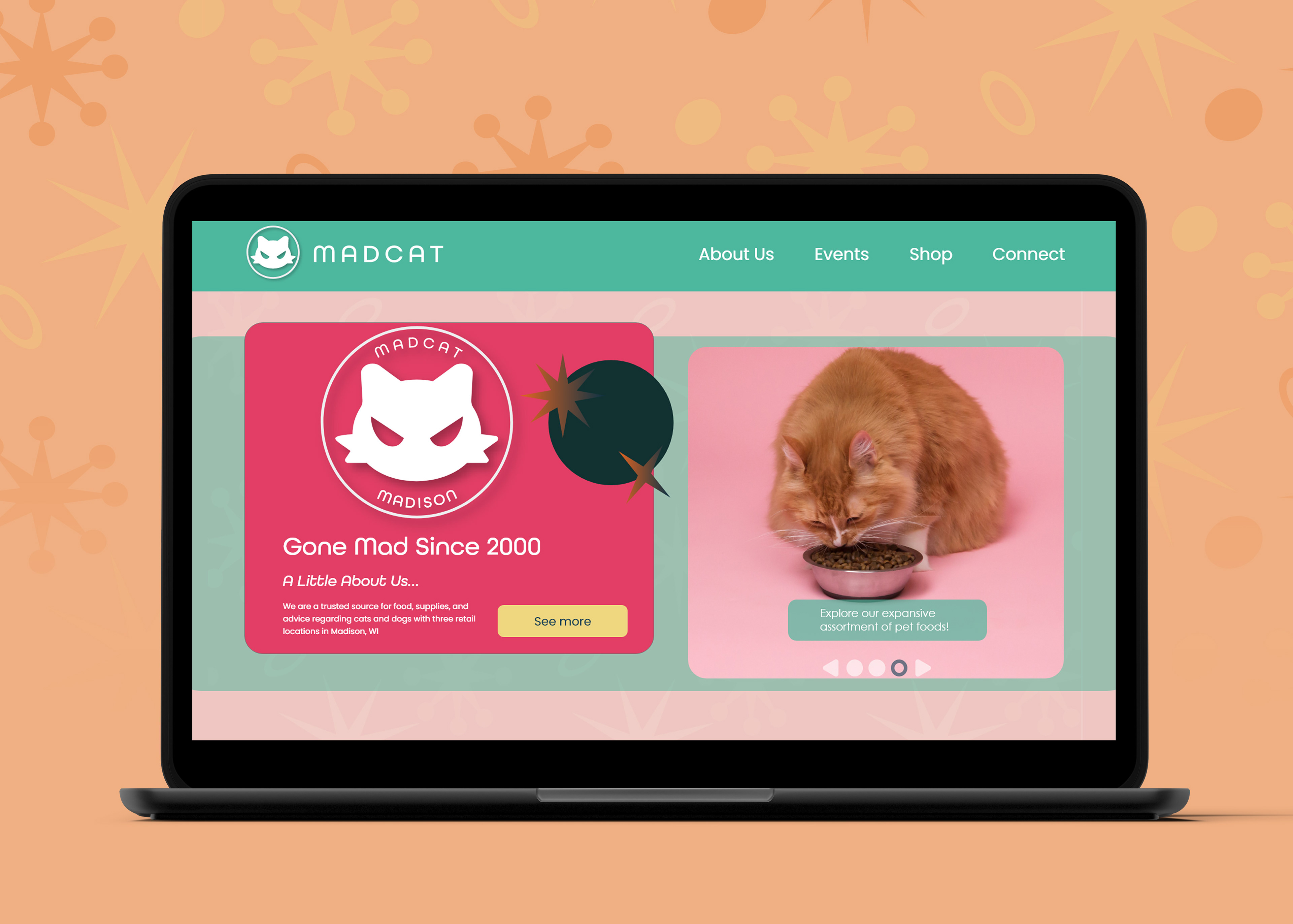 Website Landing Page