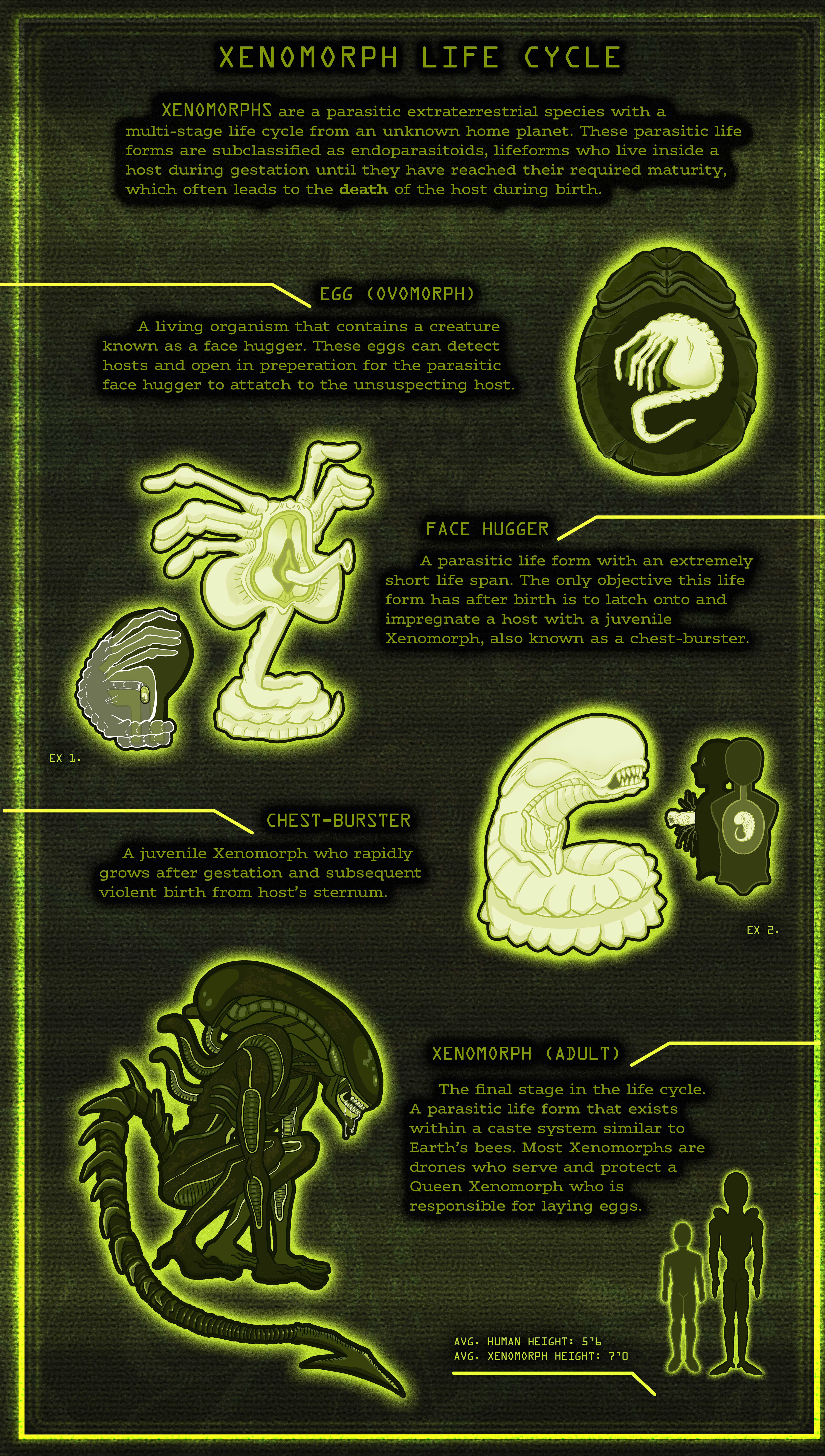 Final Infographic