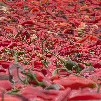 Scenes of rural life in Buthan