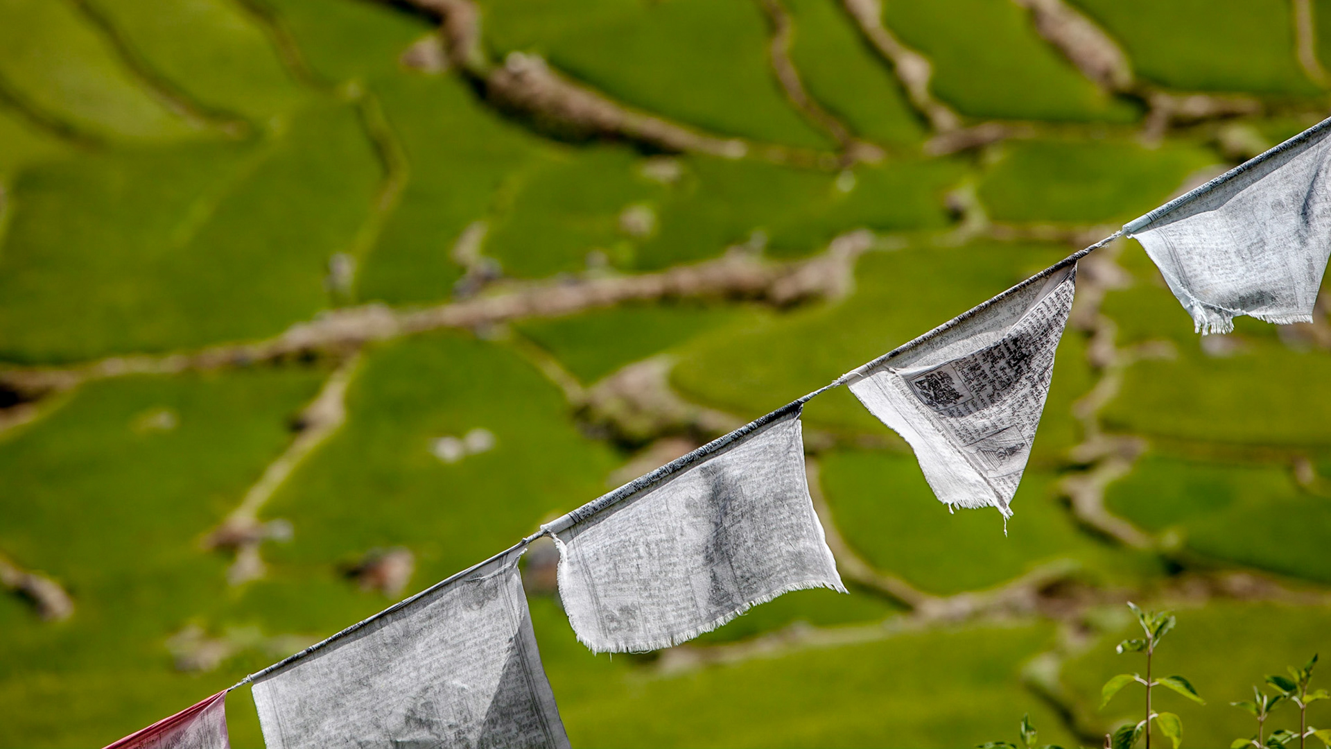 Scenes of rural life in Buthan