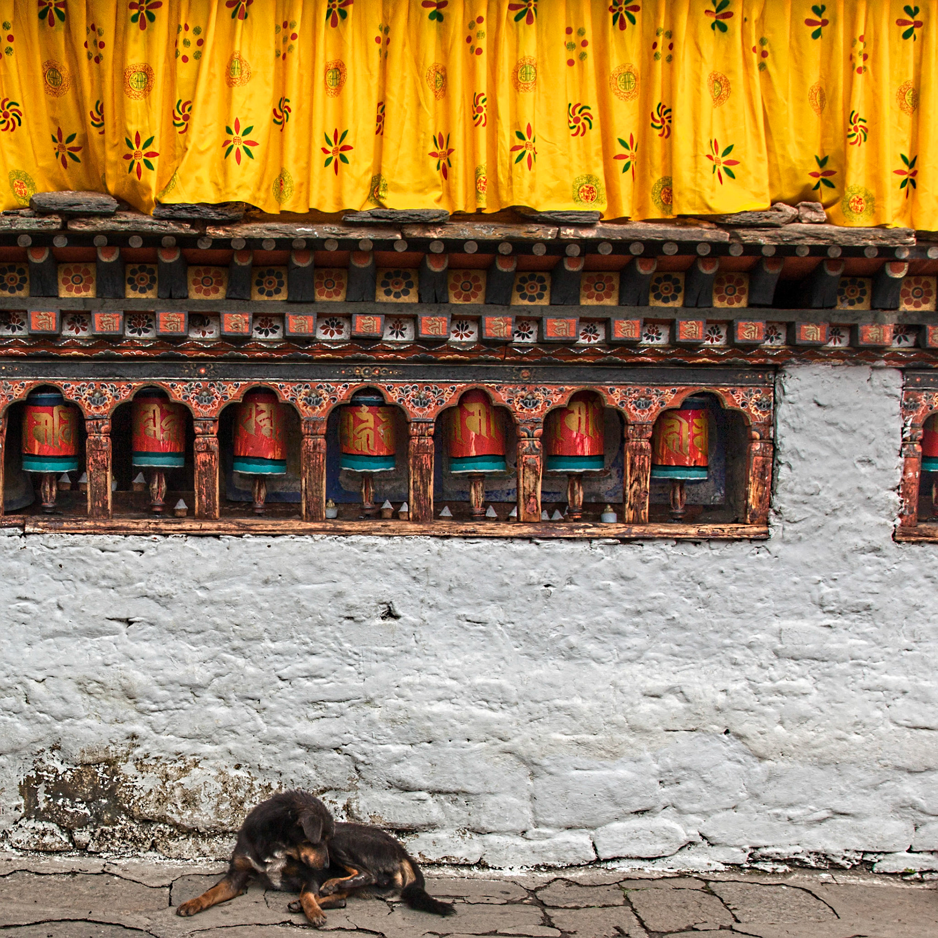 Scenes of rural life in Buthan