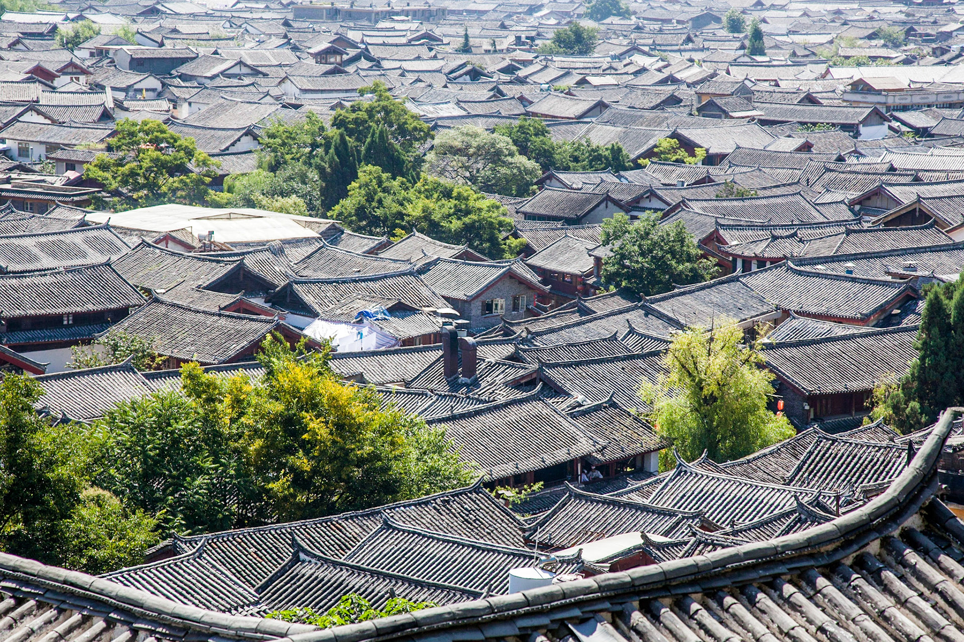 Now a popular touristic destination, and UNESCO Heritage Site, Lijiang has a history going back more than 800 years and was once a confluence for trade along the old tea horse road. The Lijiang old town is famous for its orderly system of waterways and bridges. The old town of Lijiang differs from other ancient Chinese cities in architecture, history and the culture of its traditional residents the Nakhi people, therefore people there are called 胖金哥 and 胖金妹 (pàng jīn gē, pàng jīn mèi, male and female respectively). The town was ruled by the Mu Family during the portions of the Ming and Qing Dynasties, a period of nearly 500 years.