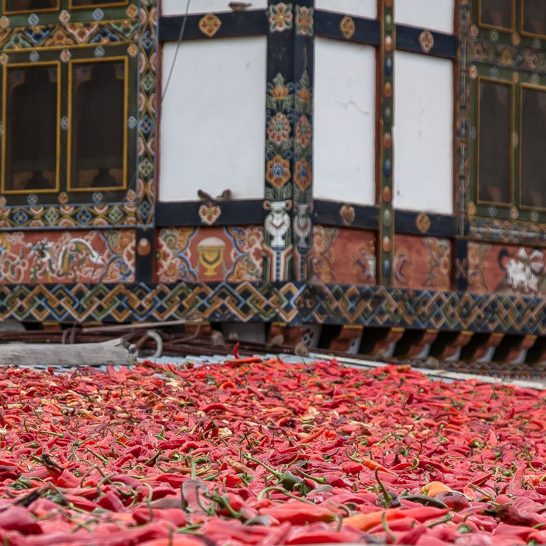Scenes of rural life in Buthan. Chilli is one of Buthan's favorite foods. Large quantities are left to dry for the cold season