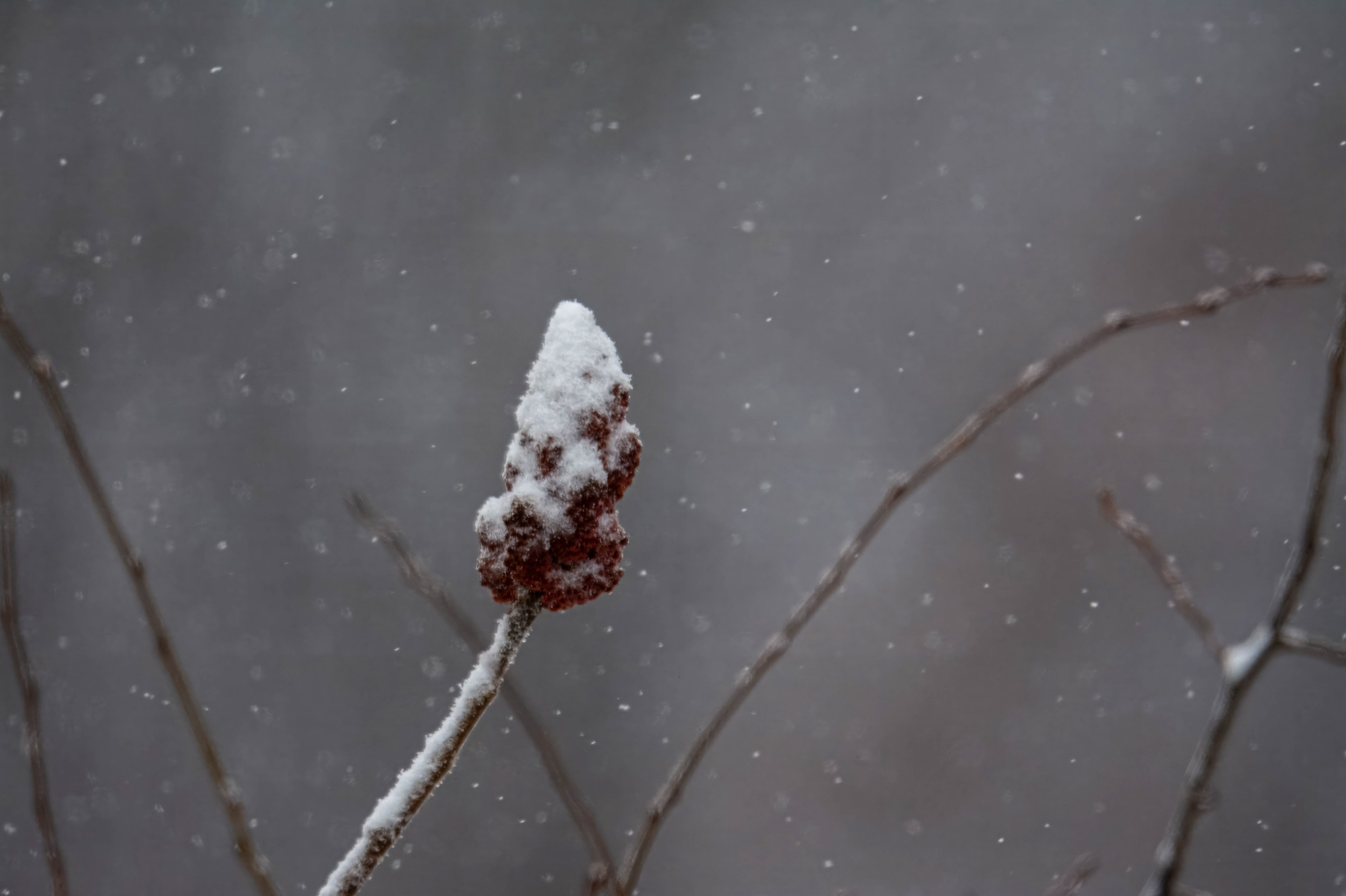Kensington Metropark, Milford, MI