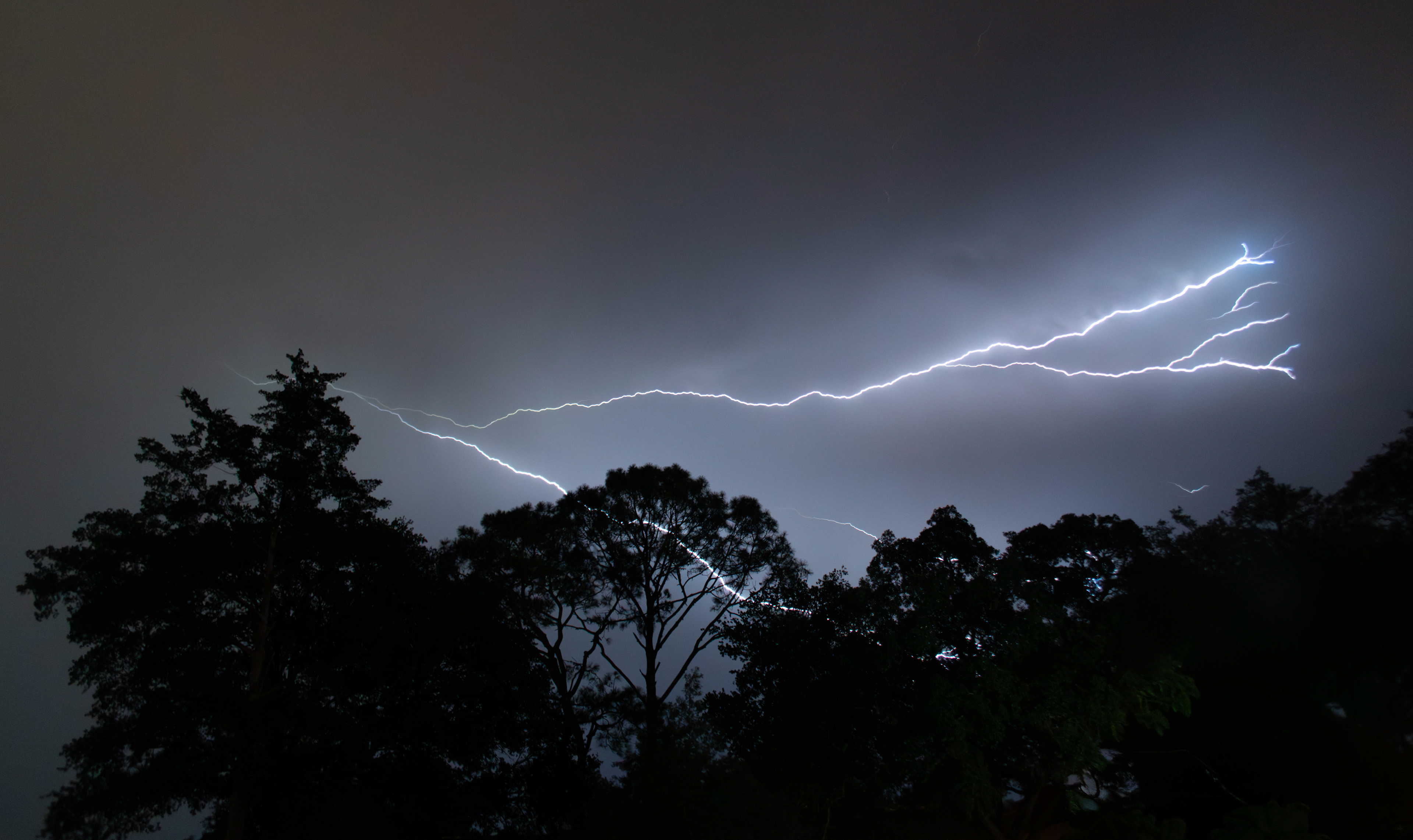 Florida Thunderstorm