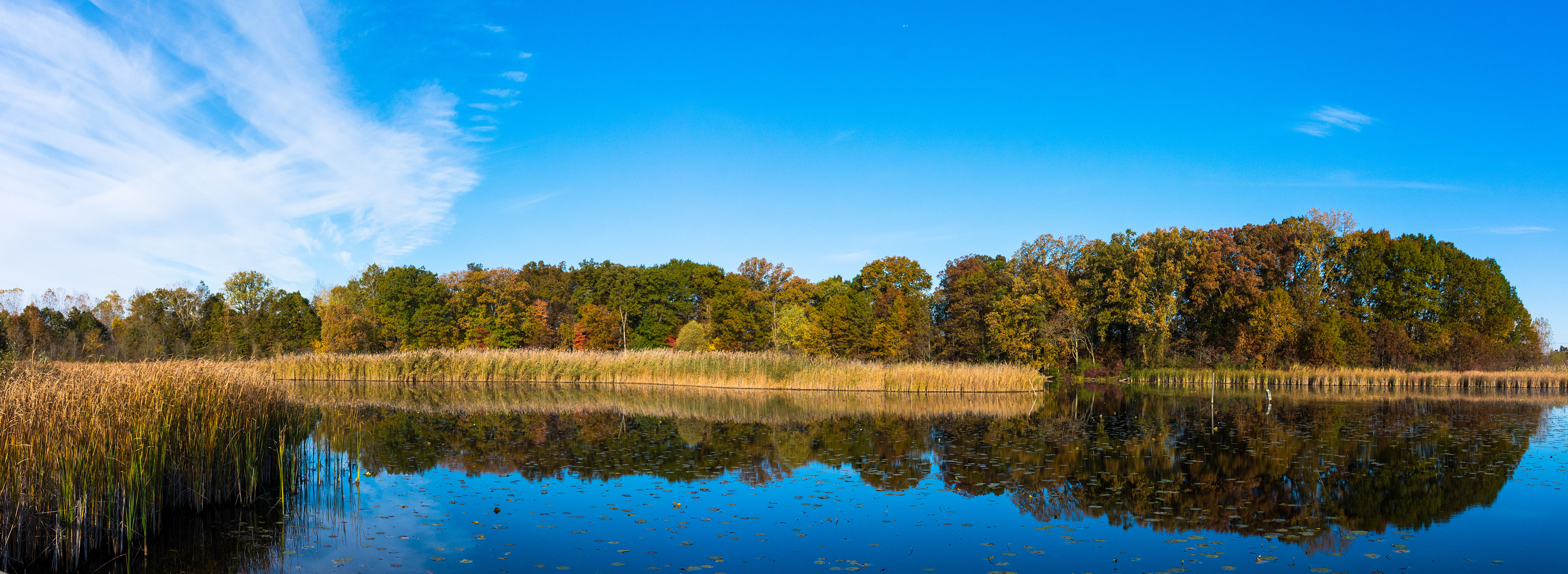 Crosswinds Marsh, New Boston, MI