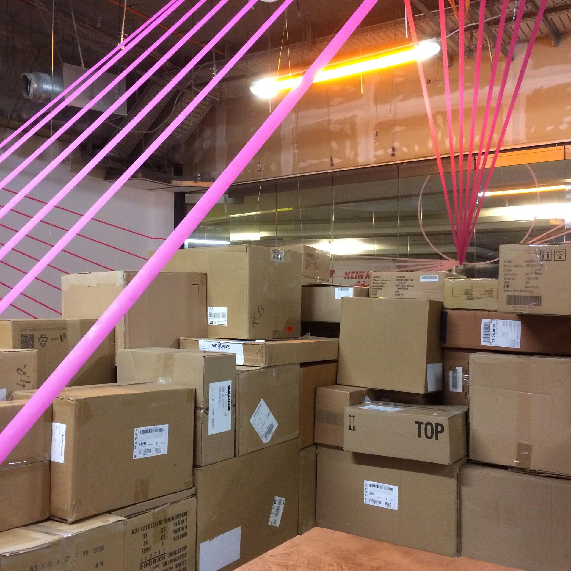 neobiota. Labor für Parasitäre Kunst © Nathalie Brum