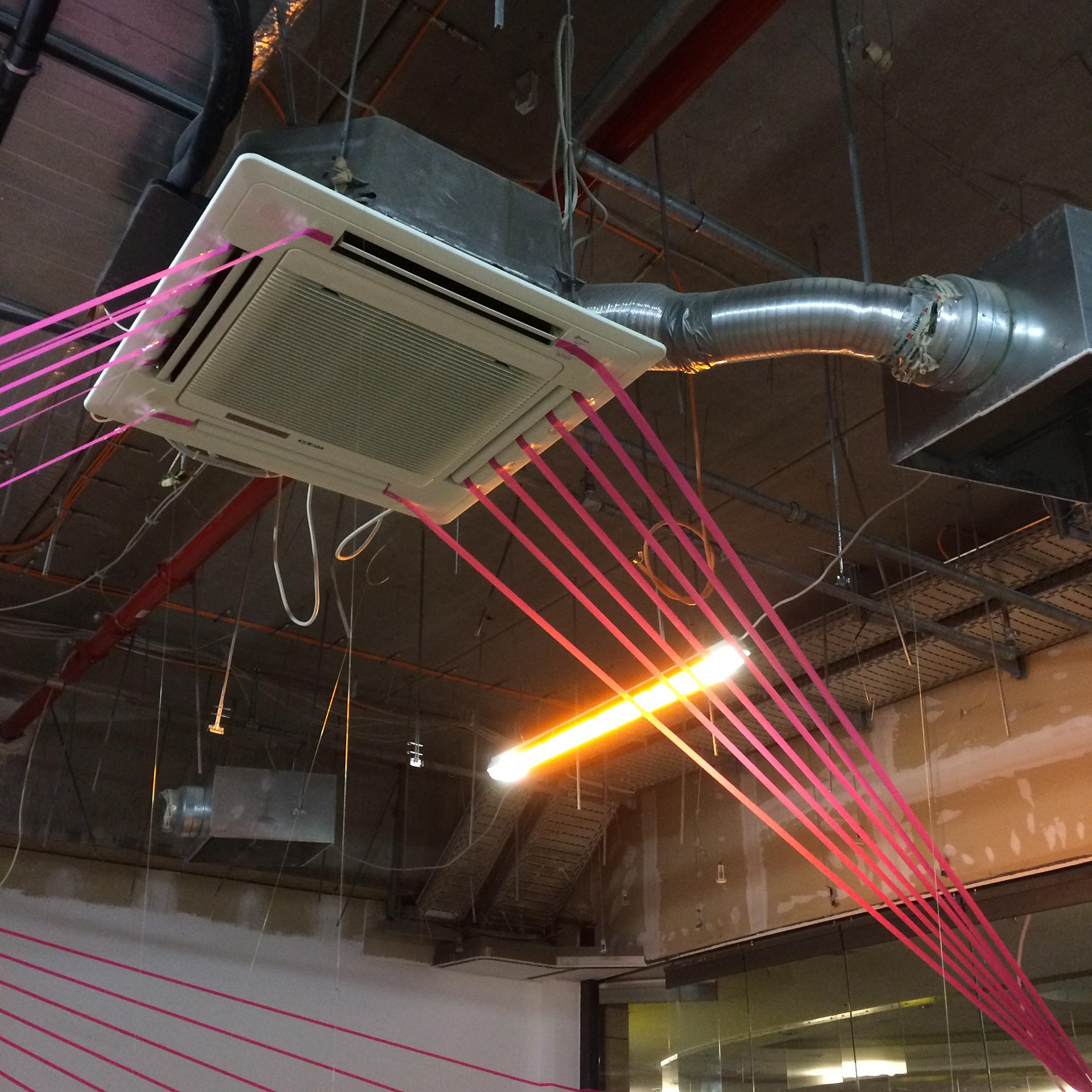 neobiota. Labor für Parasitäre Kunst © Nathalie Brum