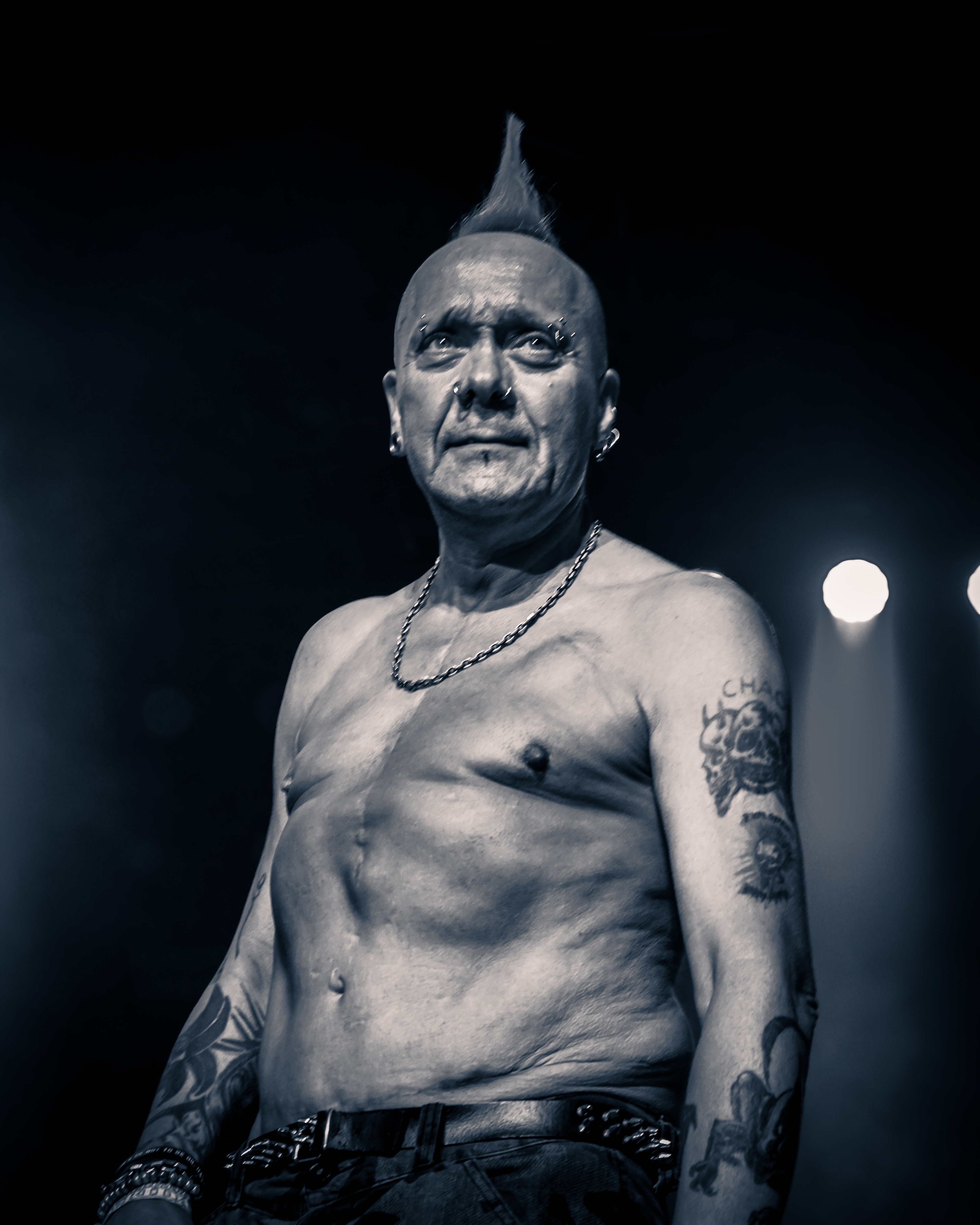 The Exploited