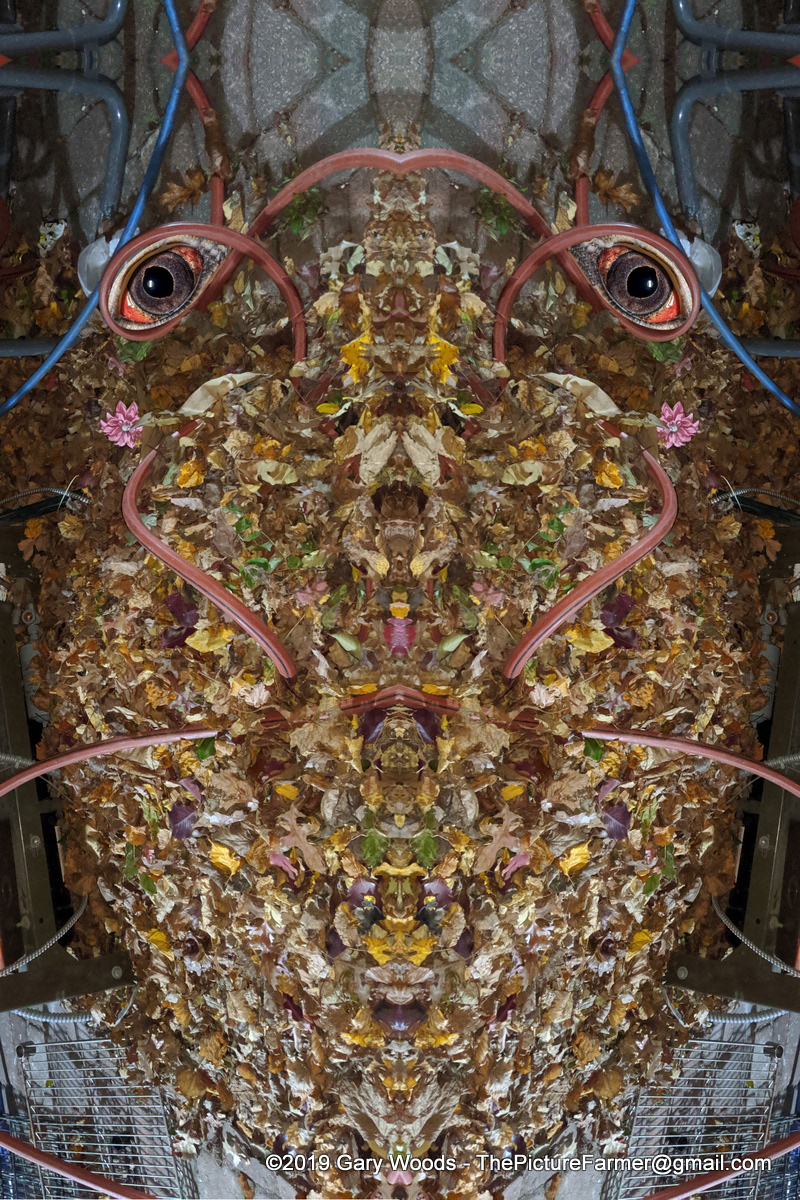 bugged