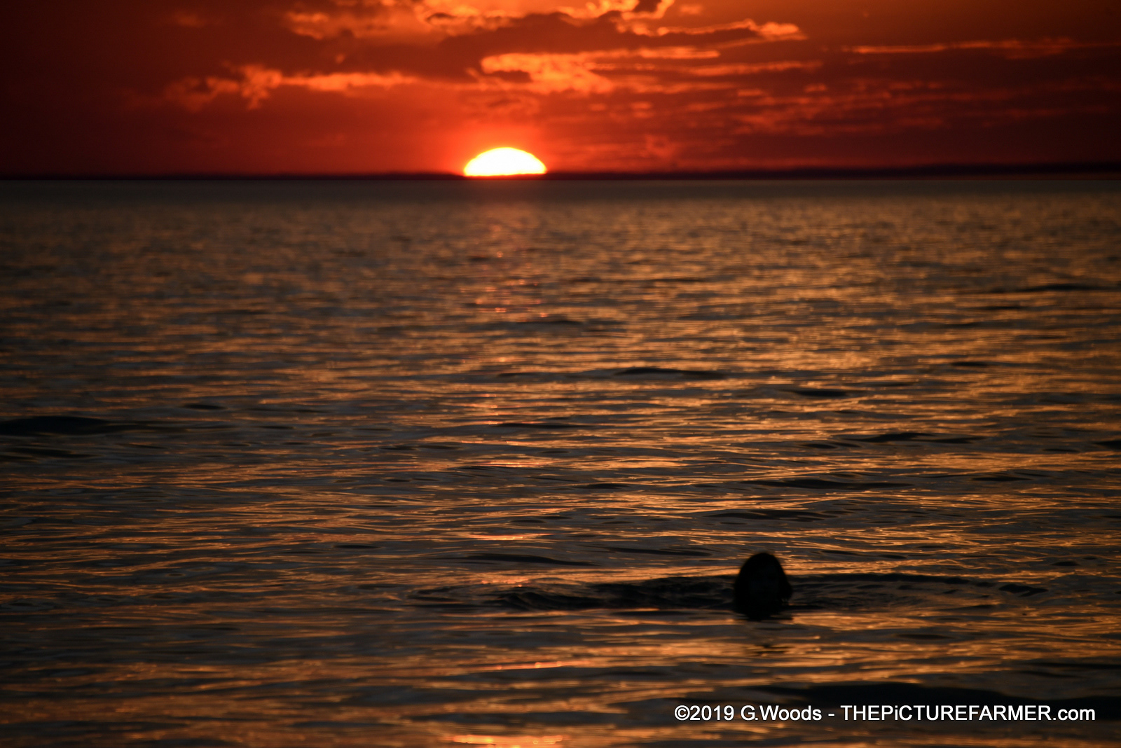 last dip - sunset