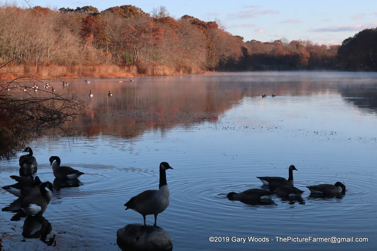 Miller's Pond Smithtown NY