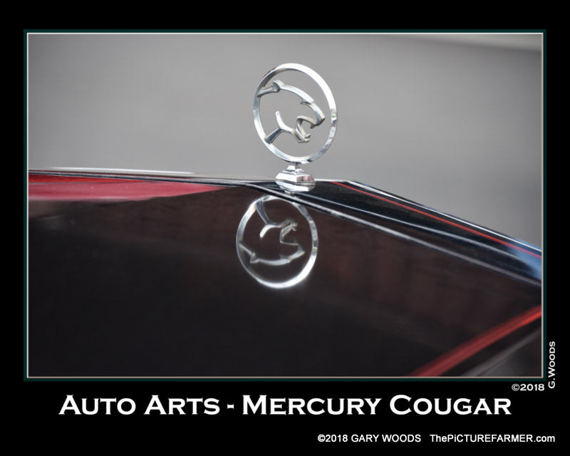 Mercury Cougar
